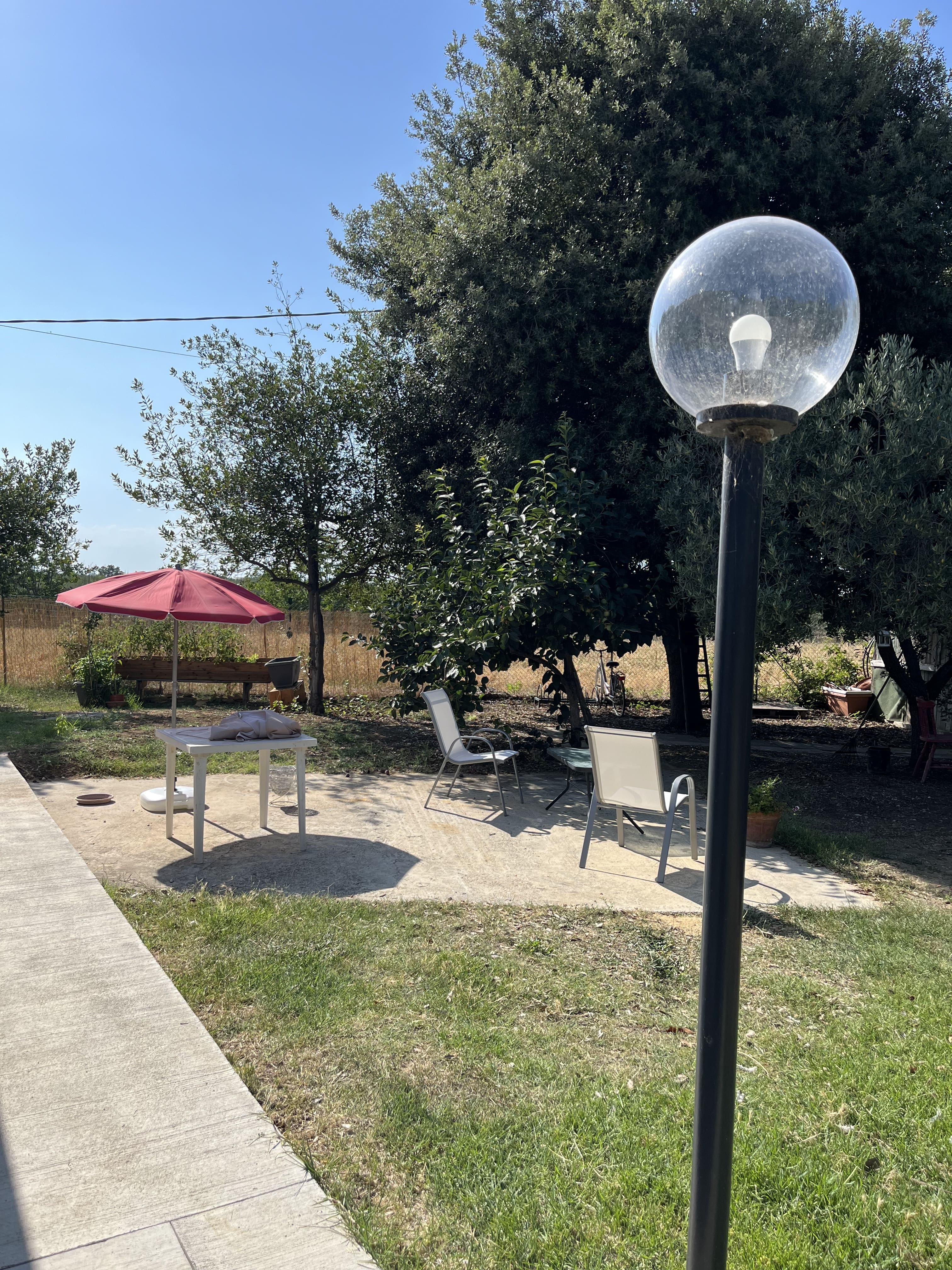 Piazzole per tende in uliveto a Punta Aderci