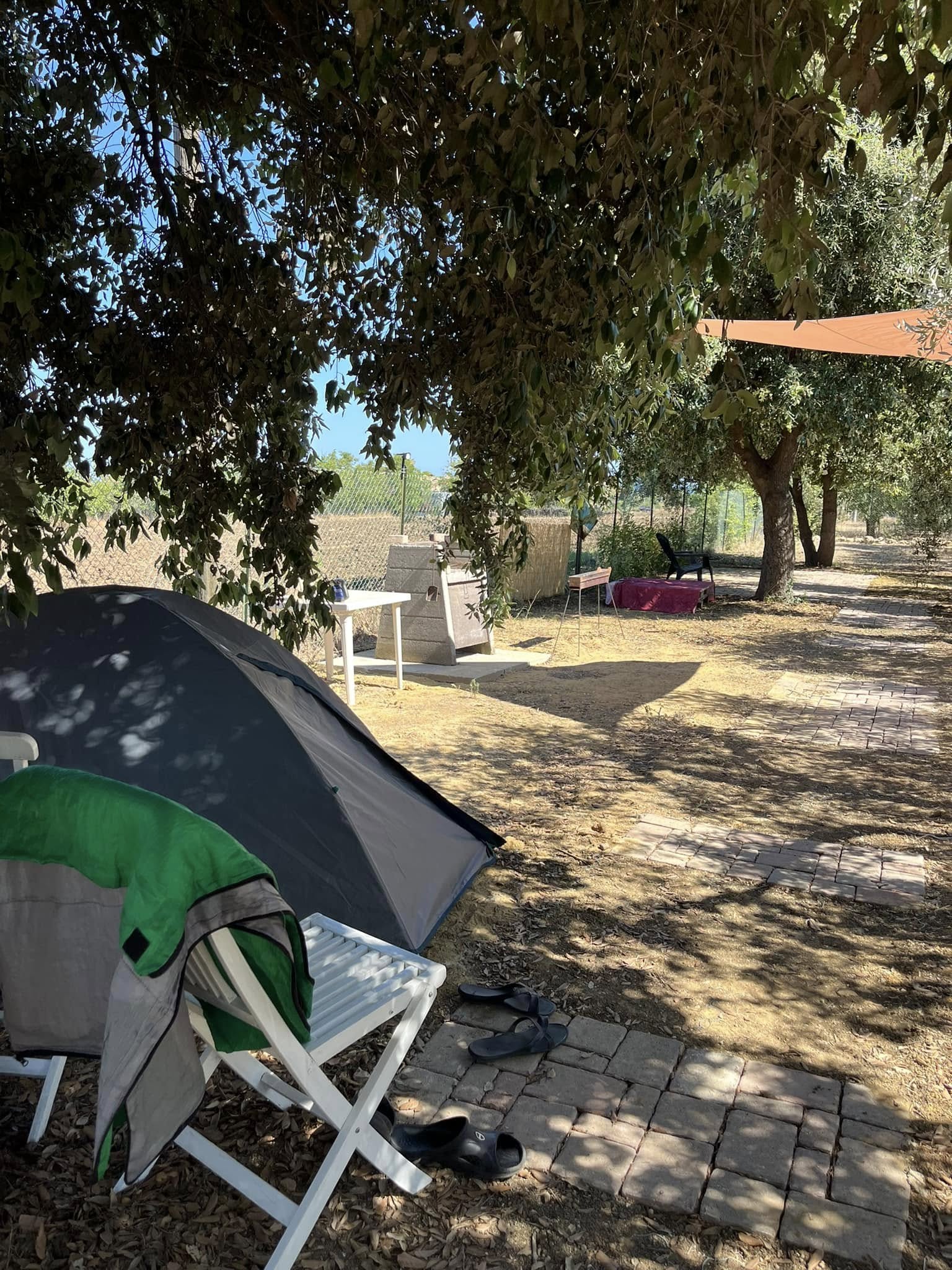 Piazzole per tende in uliveto a Punta Aderci