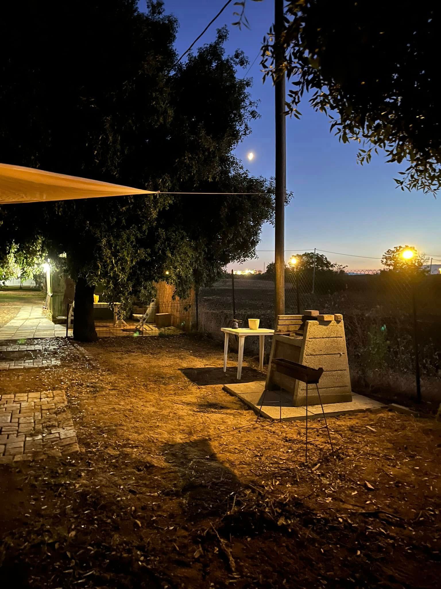 Piazzole per tende in uliveto a Punta Aderci