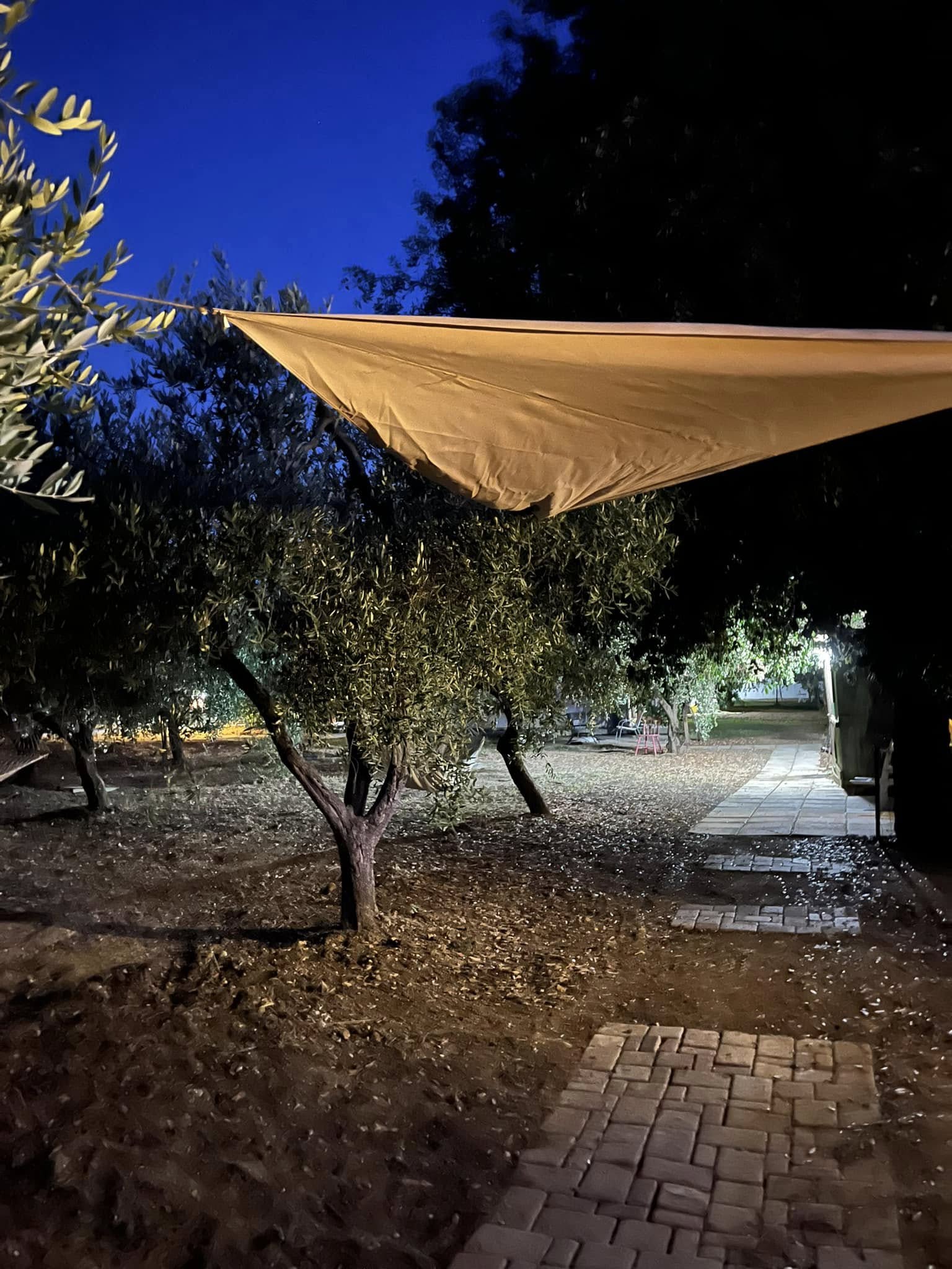 Piazzole per tende in uliveto a Punta Aderci