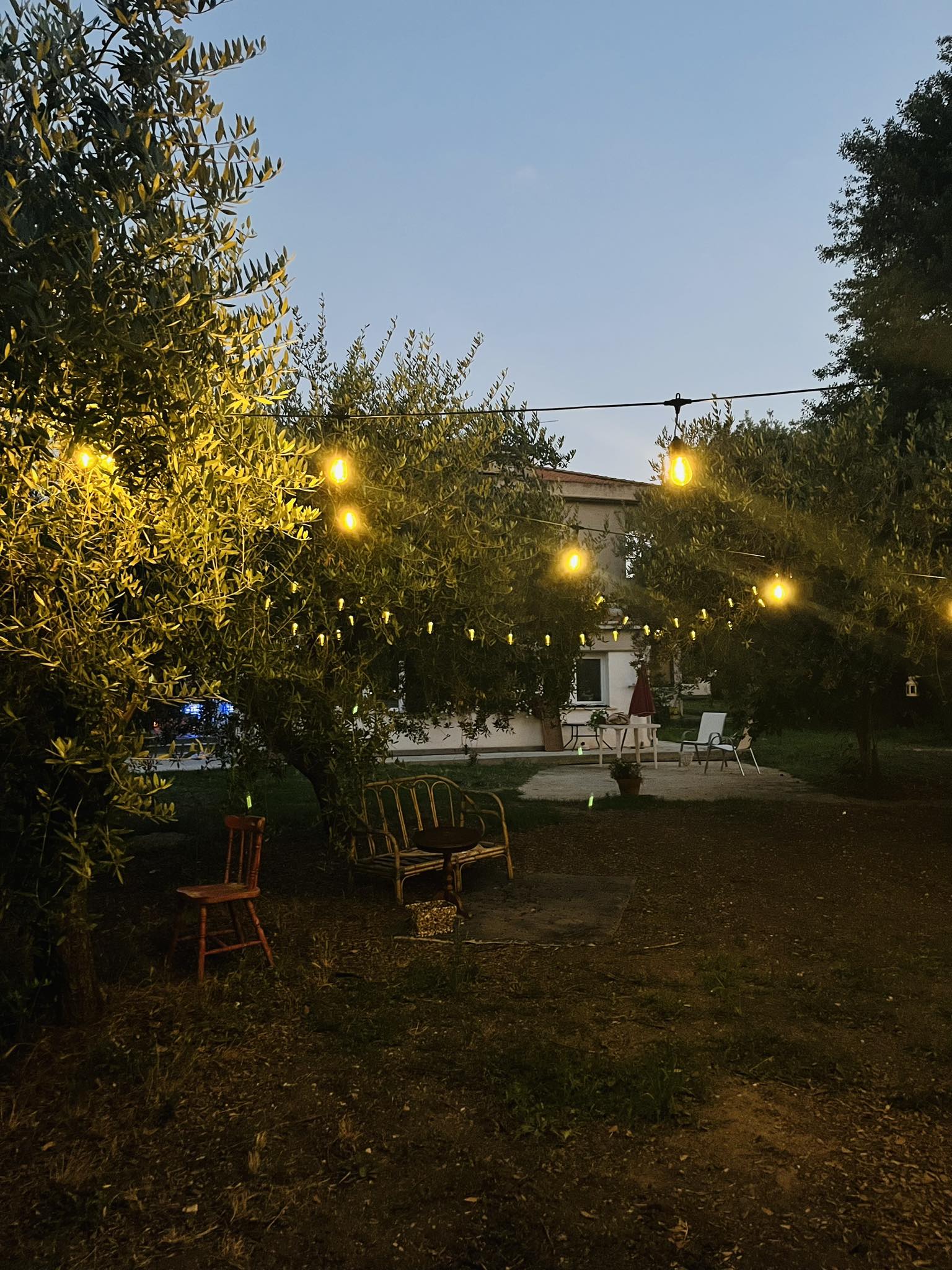 Piazzole per tende in uliveto a Punta Aderci