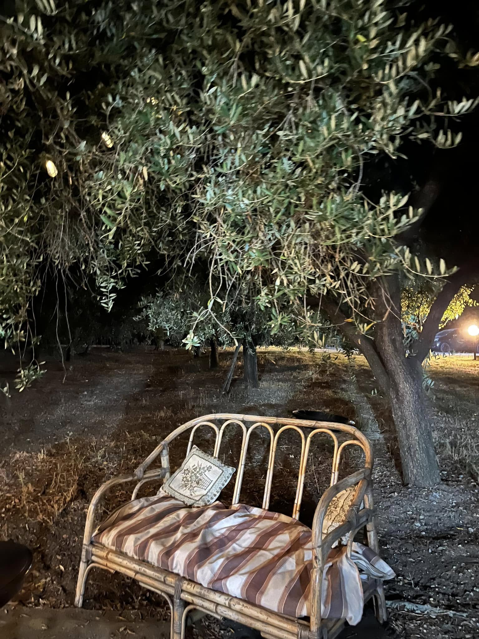 Piazzole per tende in uliveto a Punta Aderci