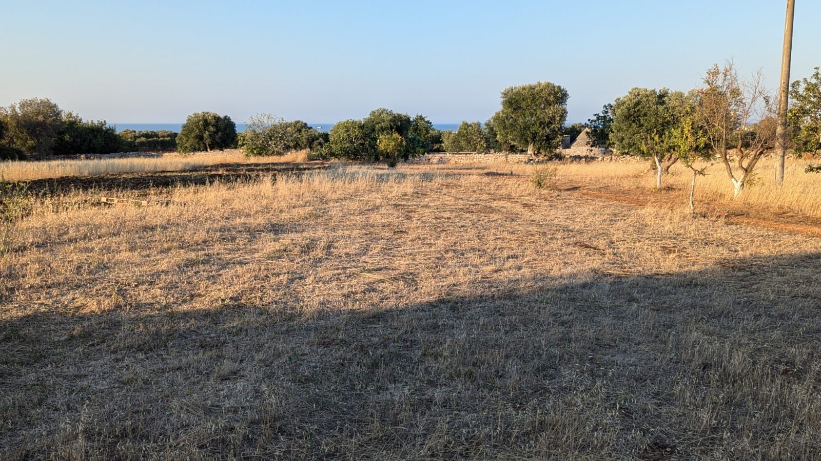 Camping in Masseria Bija