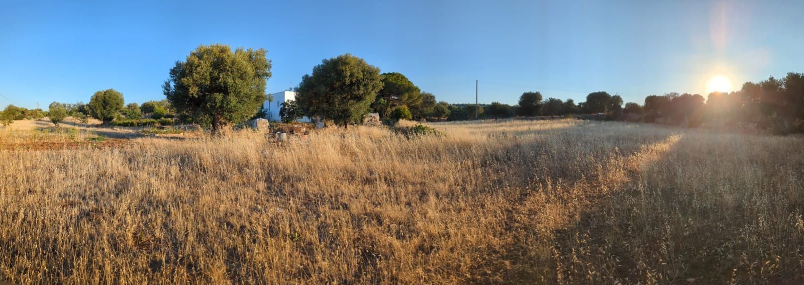 Camping in Masseria Bija