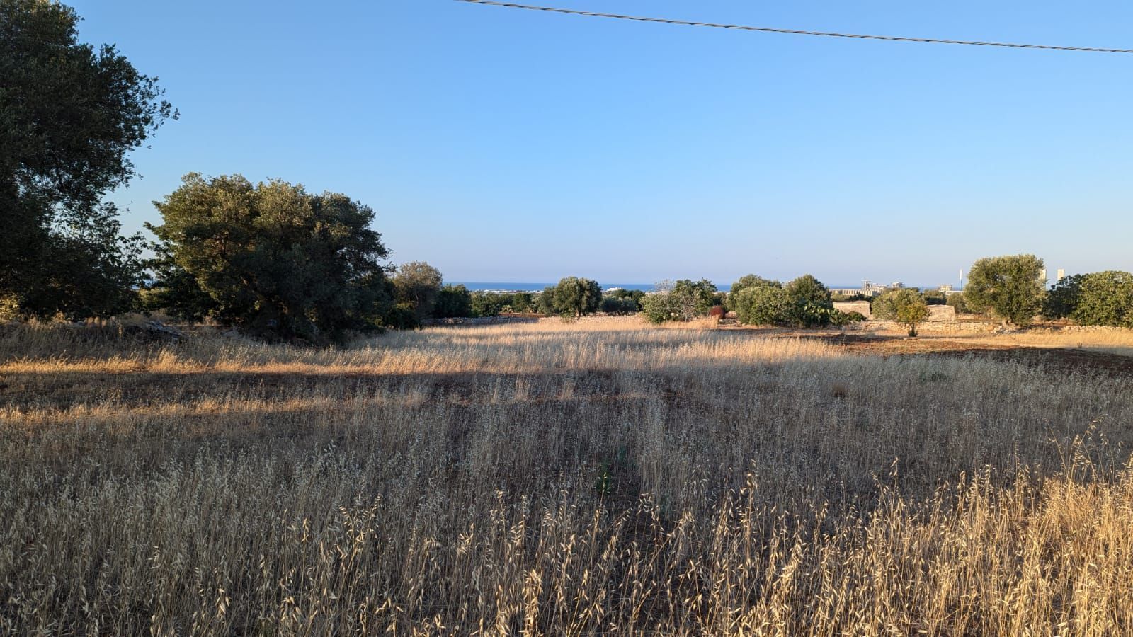 Camping in Masseria Bija
