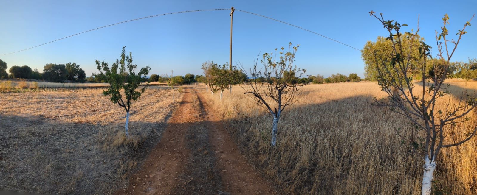 Camping in Masseria Bija