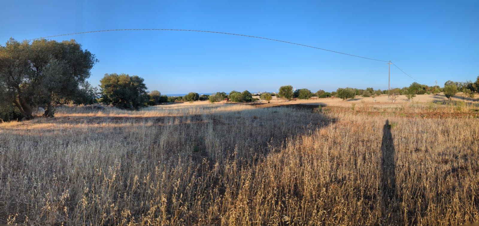 Camping in Masseria Bija