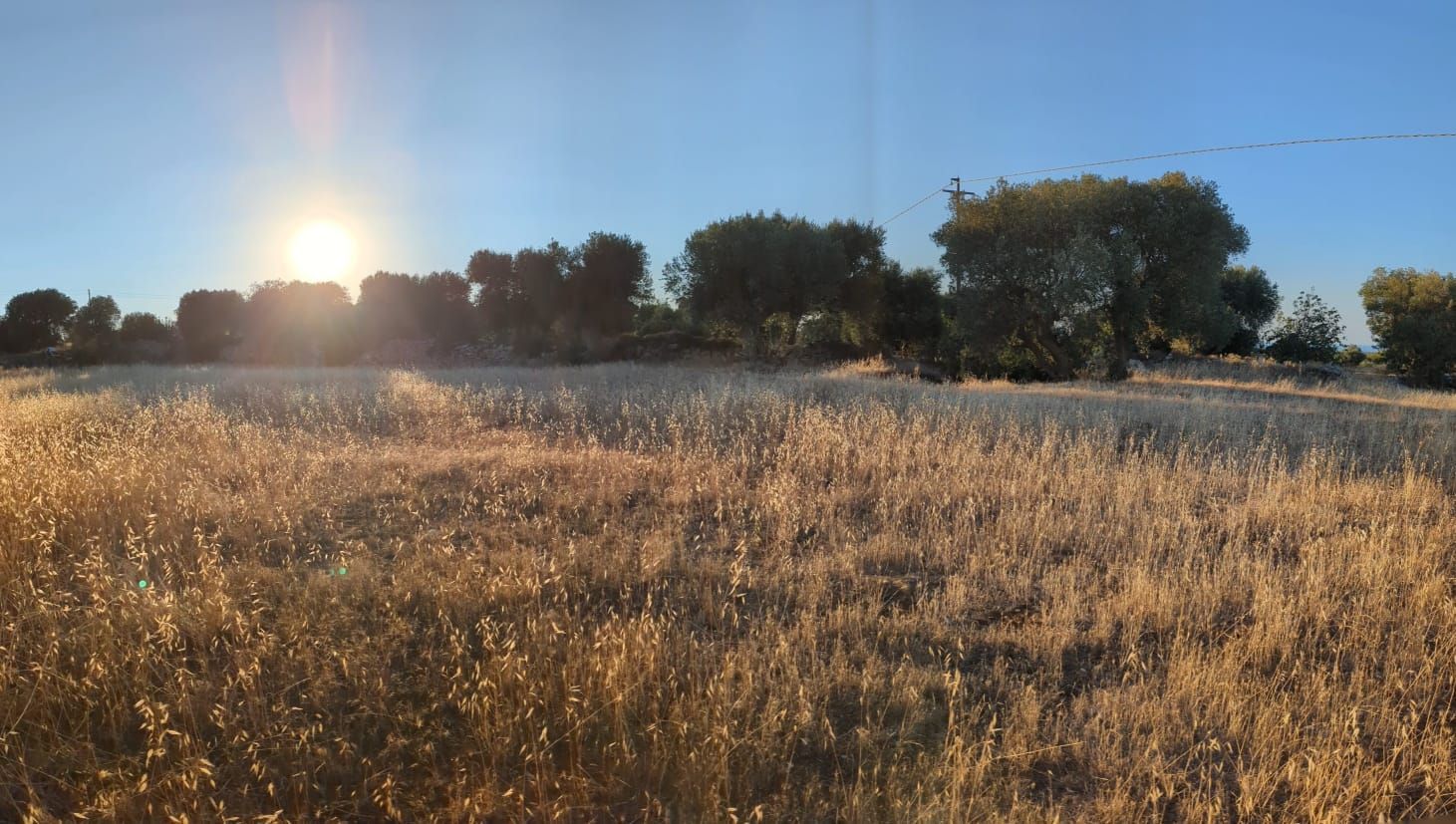 Camping in Masseria Bija
