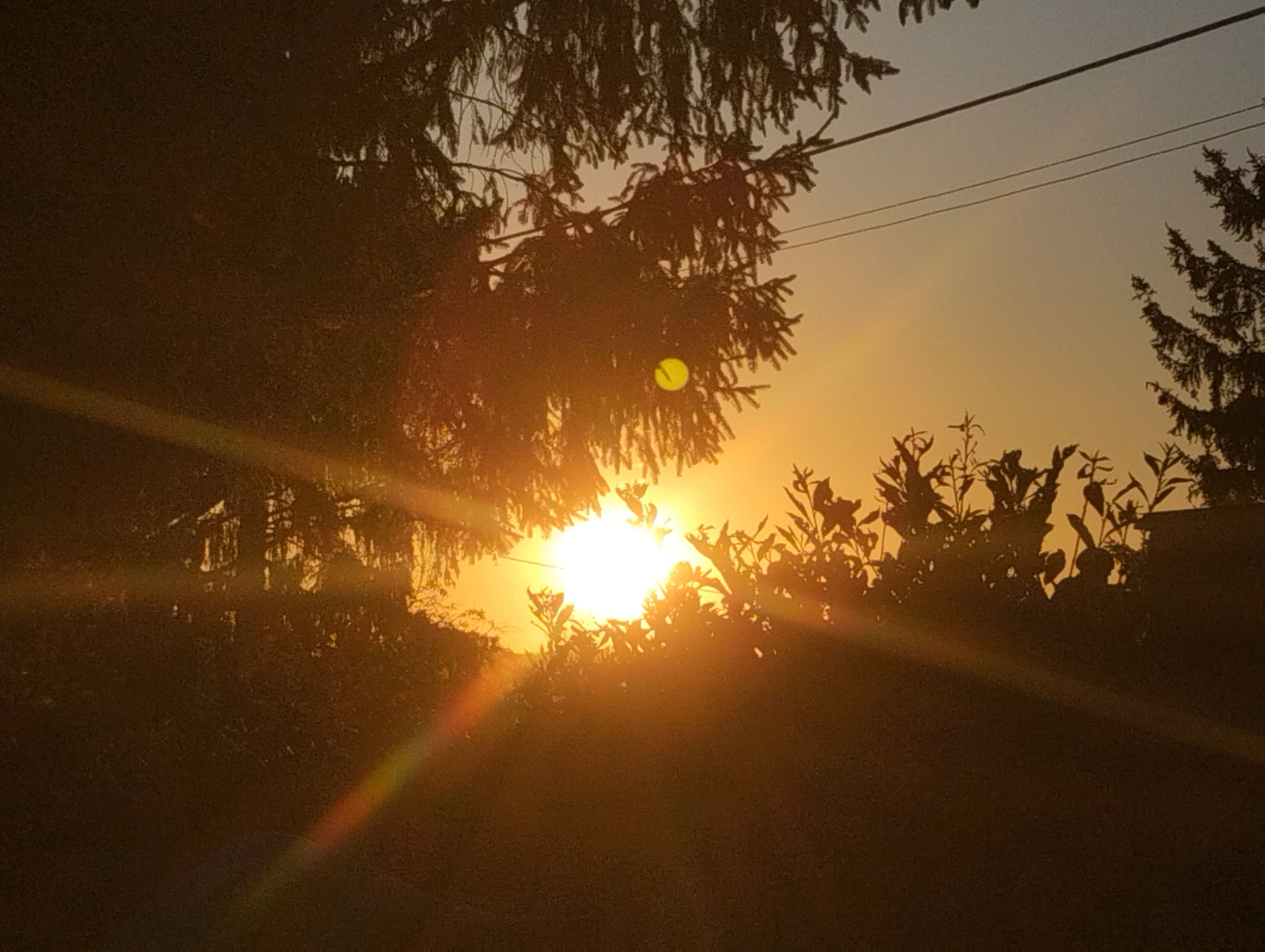 Roulotte "La Curandera"