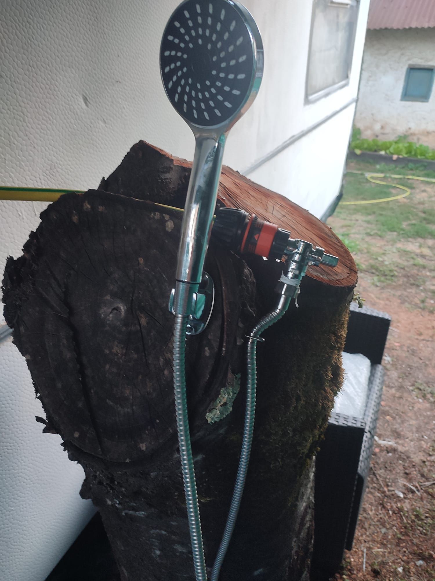 Roulotte "La Curandera"