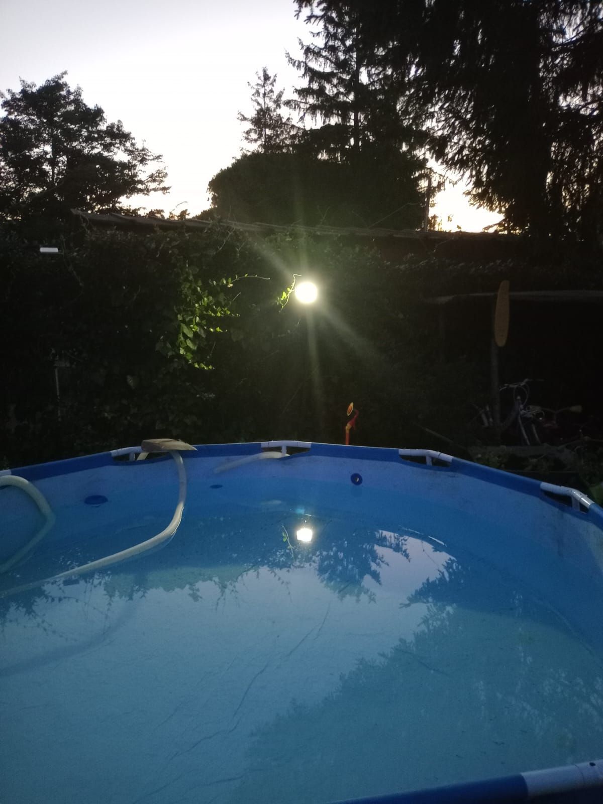 Roulotte "La Curandera"