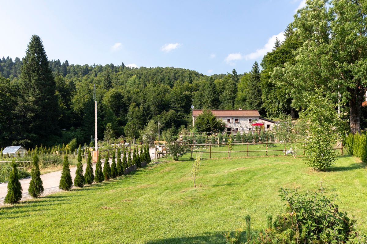 PANORAMIC ROOM CON BOSCO