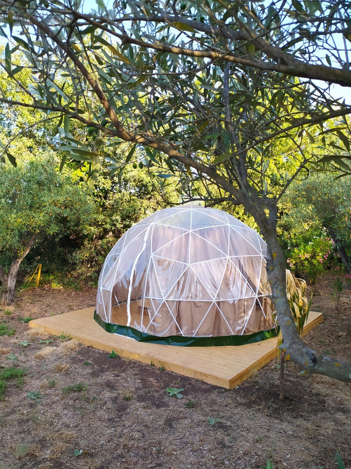 Glamping sotto le stelle in cupola geodetica in Sicilia