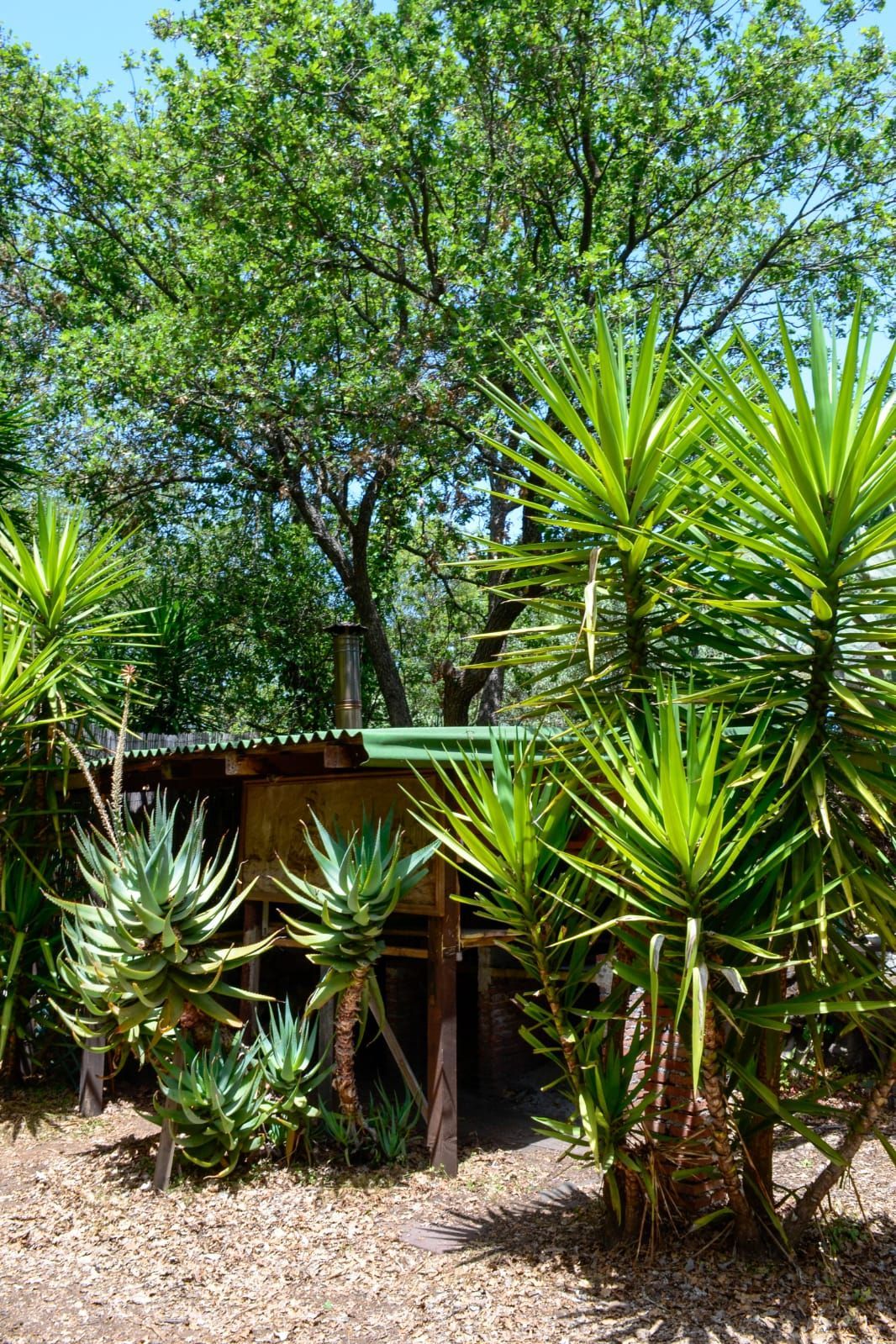 Glamping in cupola geodetica in Sicilia