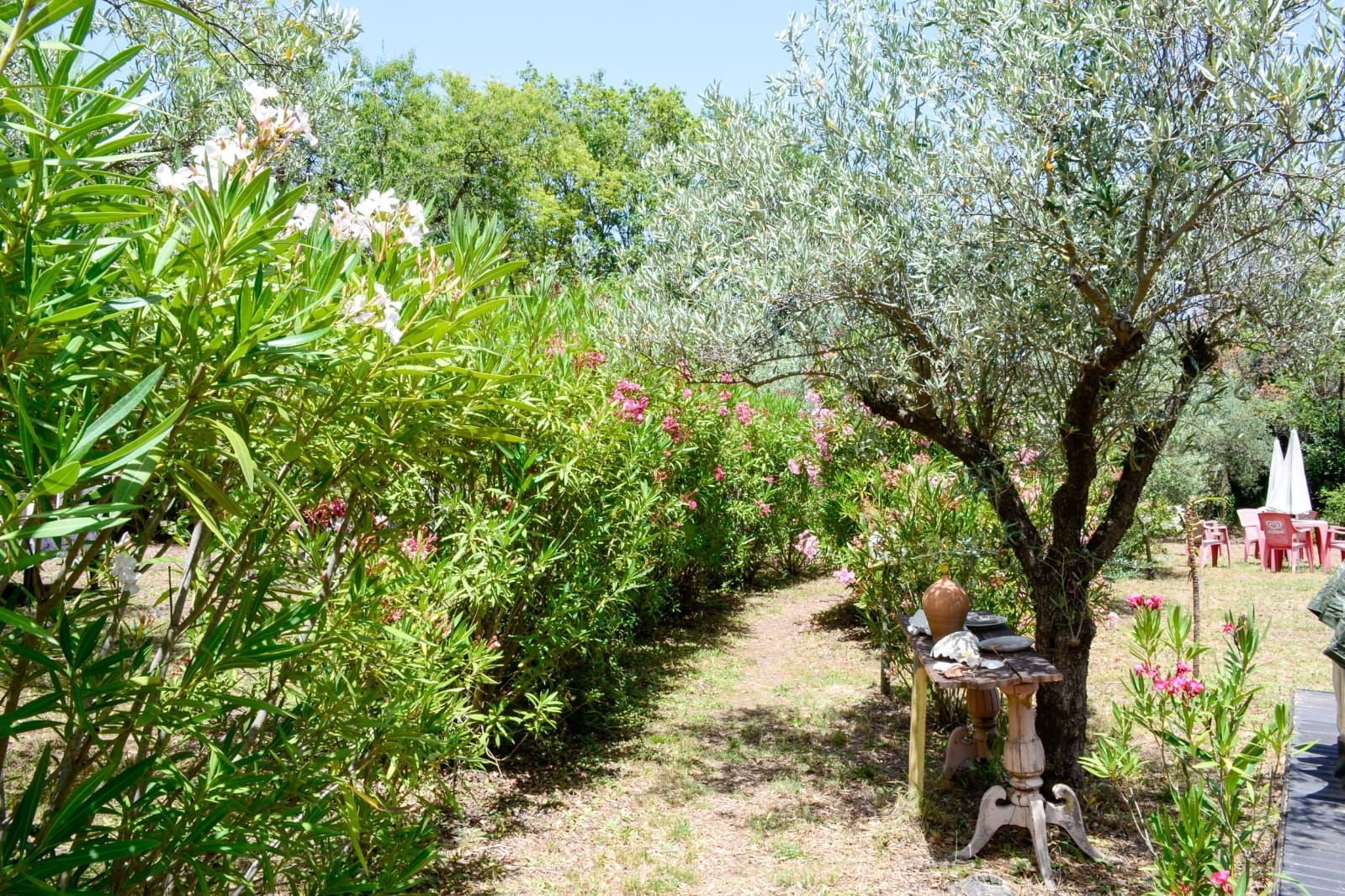 Glamping in cupola geodetica in Sicilia