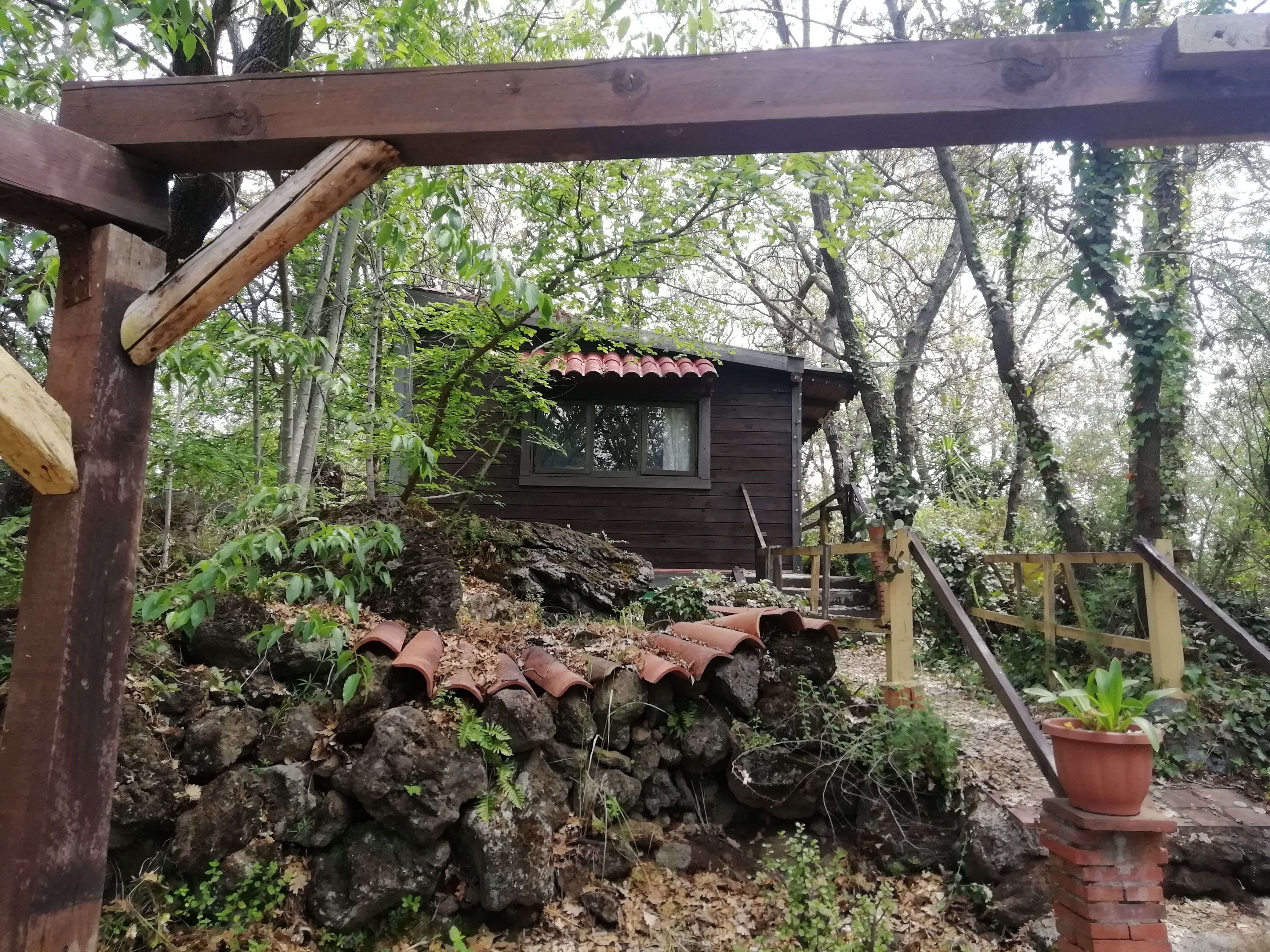 Casetta di legno tra gli alberi