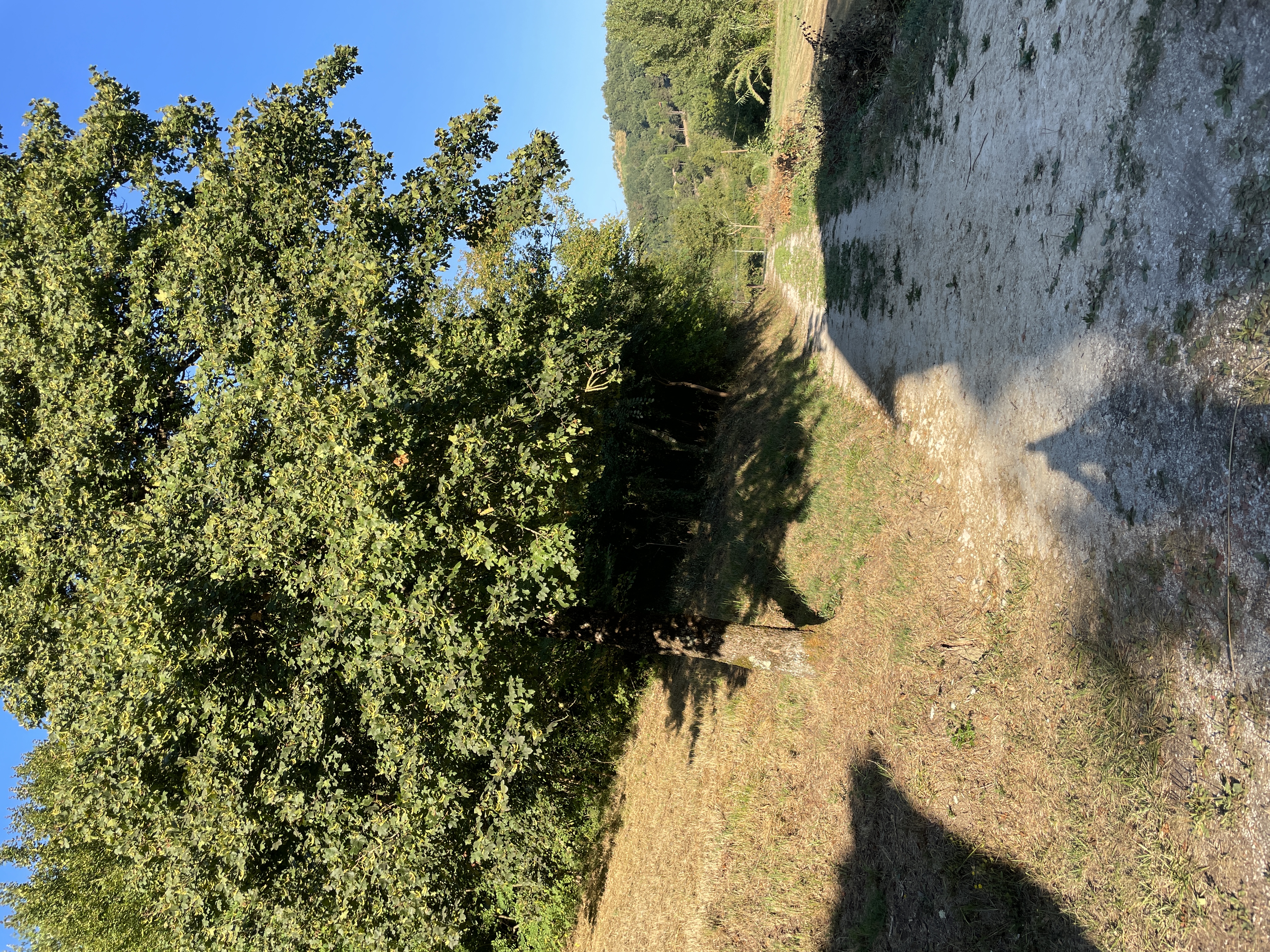 Terreno privato per camping nelle campagne del cuore della Ciociaria