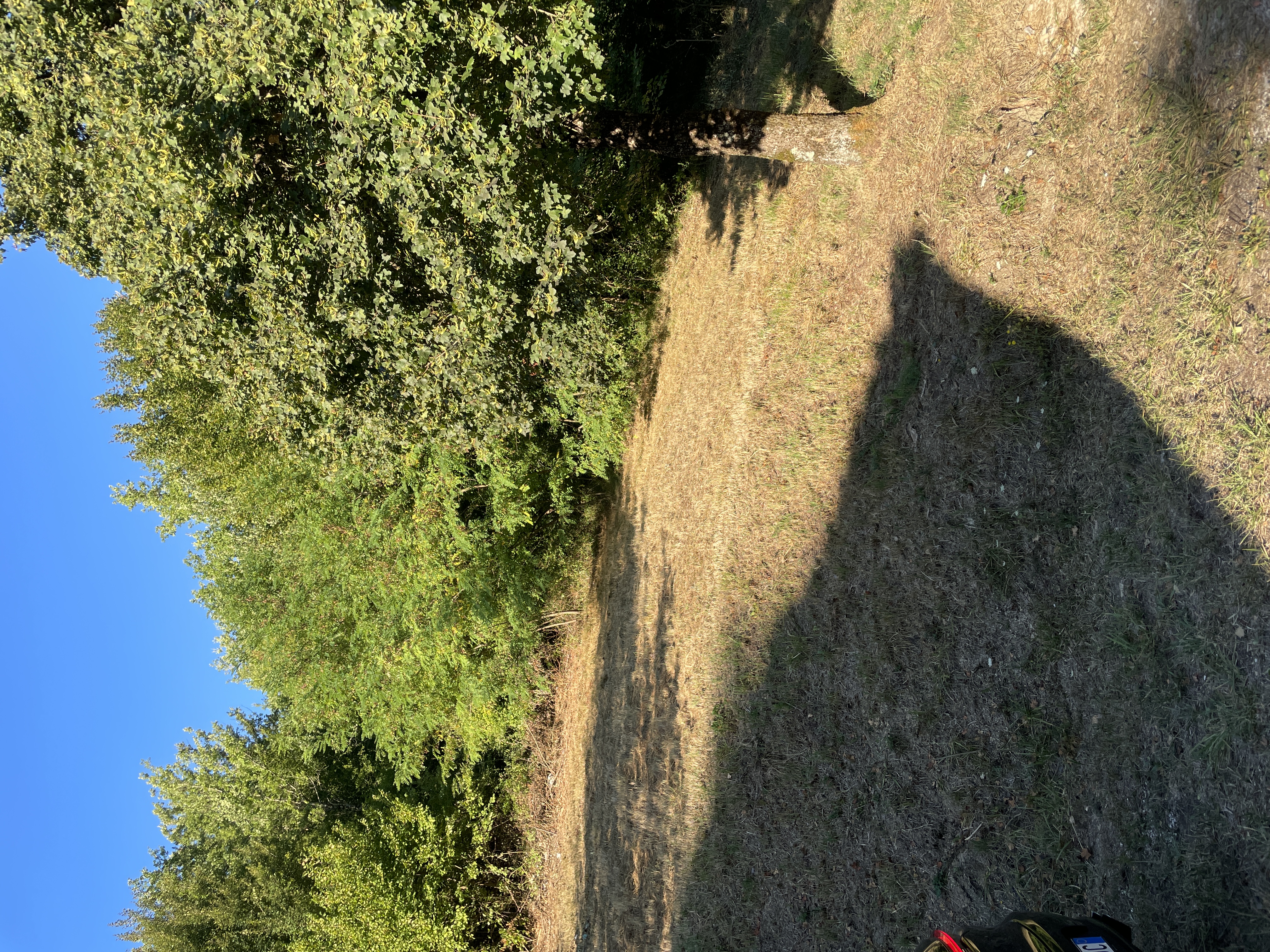 Terreno privato per camping nelle campagne del cuore della Ciociaria