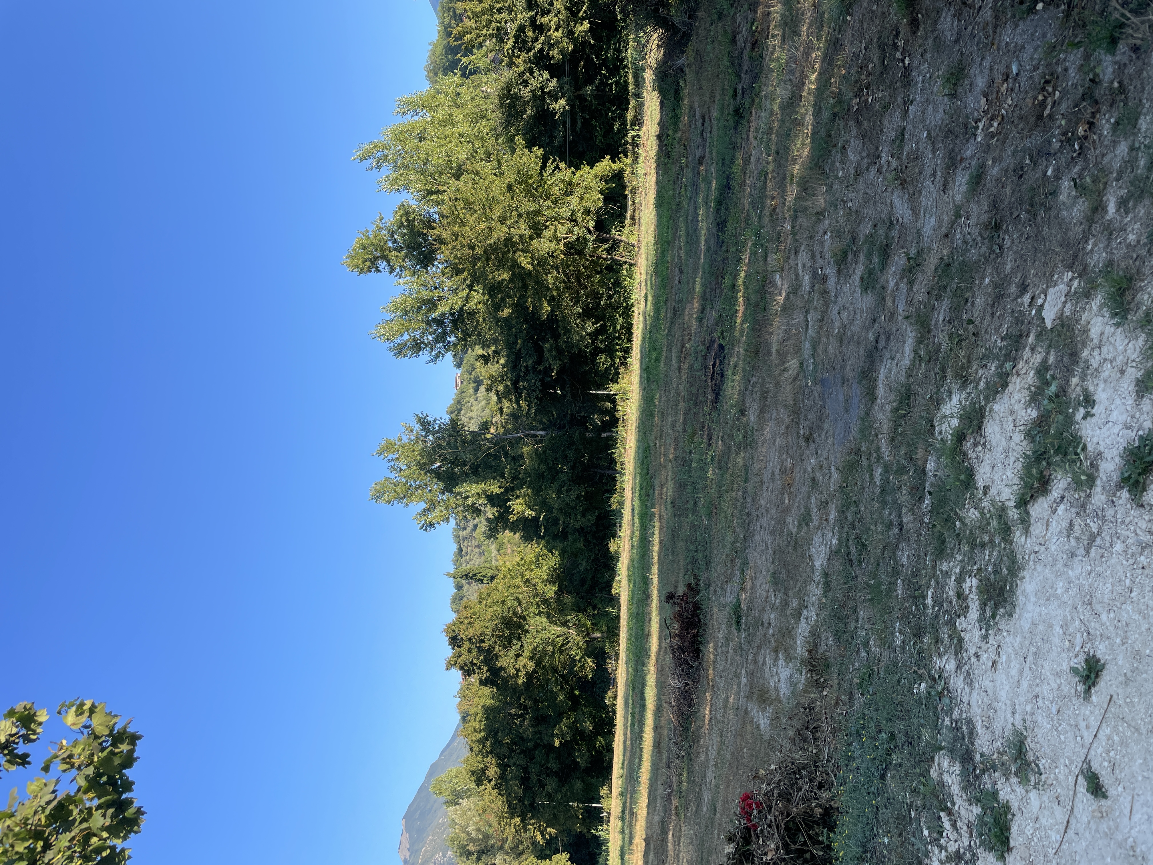 Terreno privato per camping nelle campagne del cuore della Ciociaria