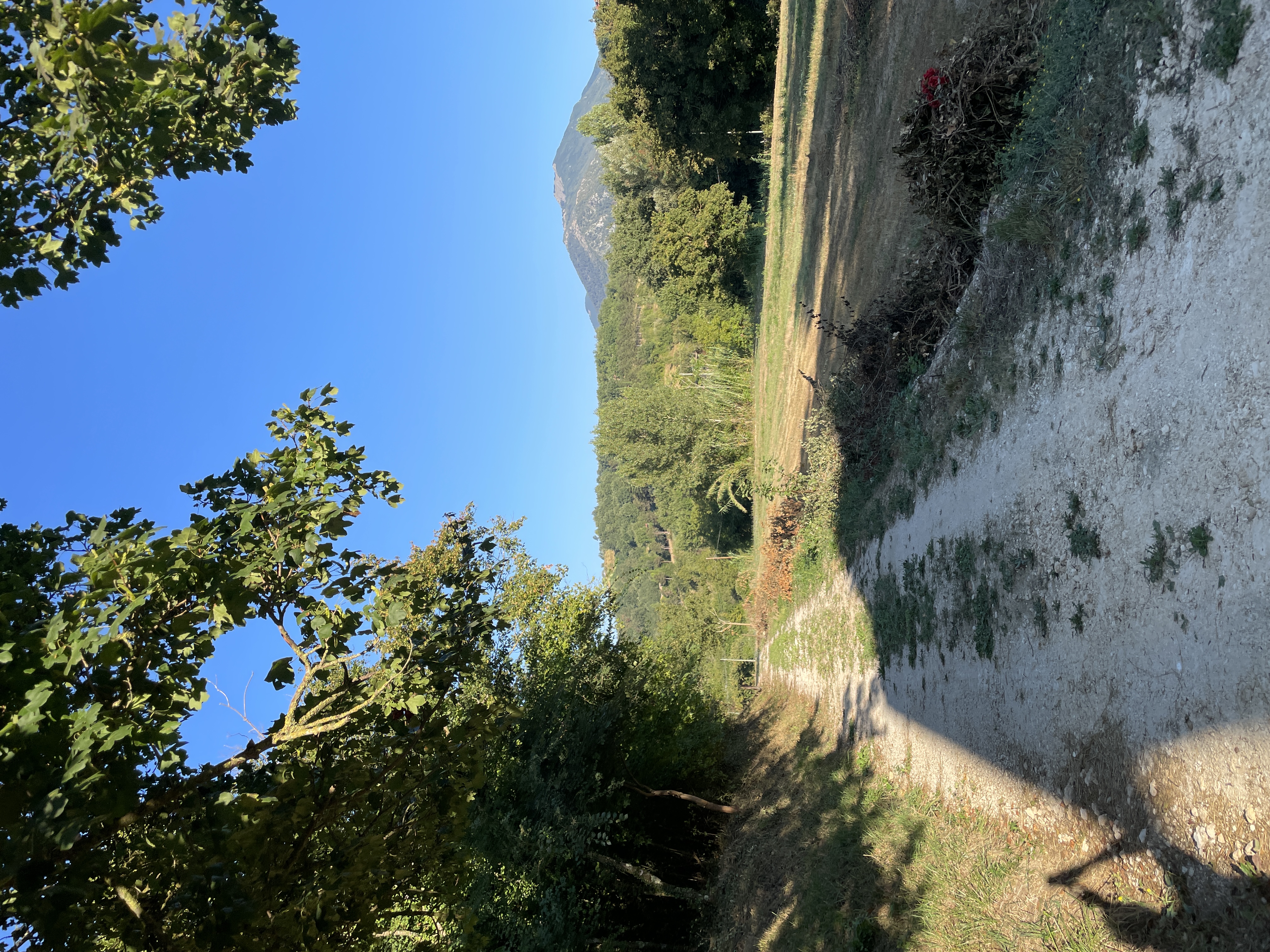 Terreno privato per camping nelle campagne del cuore della Ciociaria
