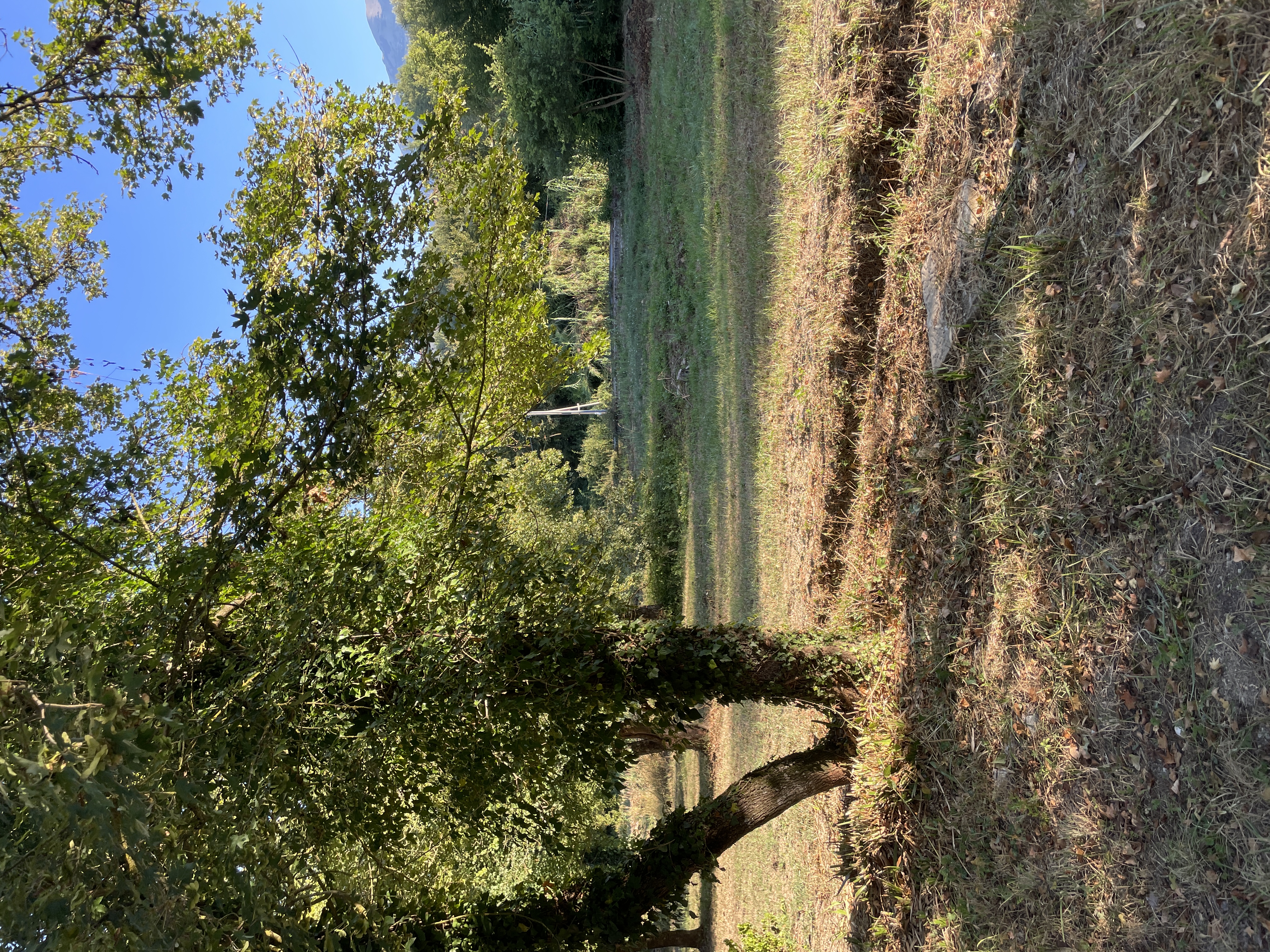 Terreno privato per camping nelle campagne del cuore della Ciociaria