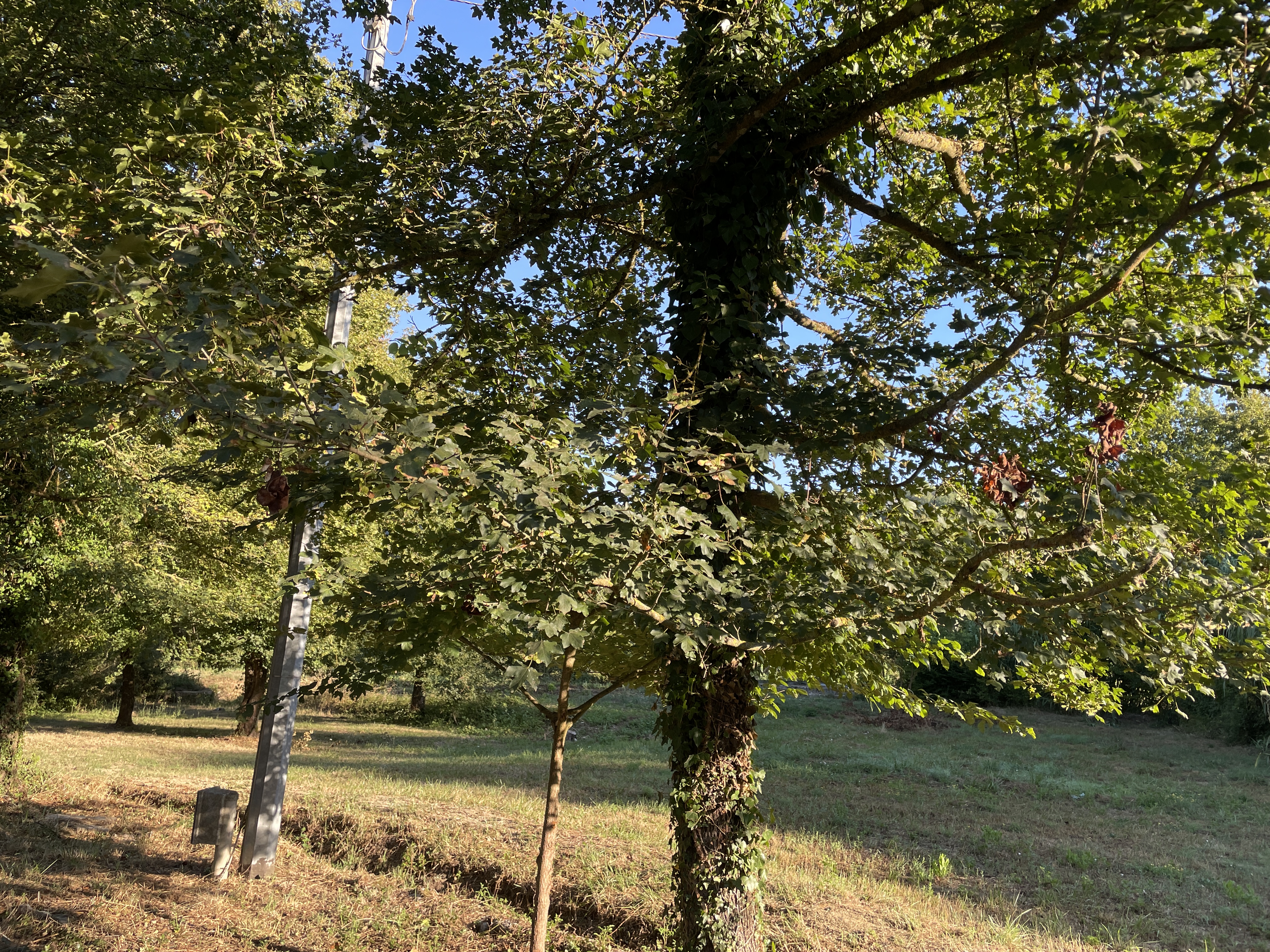 Terreno privato per camping nelle campagne del cuore della Ciociaria