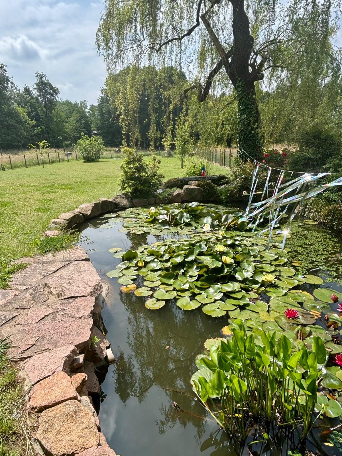 Emplacement de tente sur pelouse dans un jardin clos