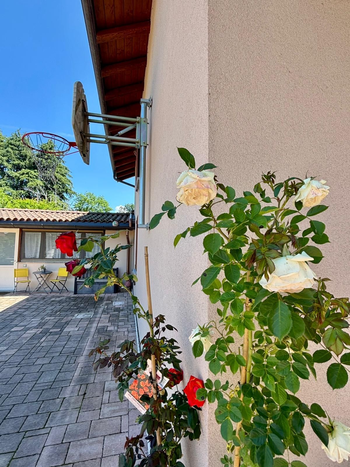 Emplacement de tente sur pelouse dans un jardin clos