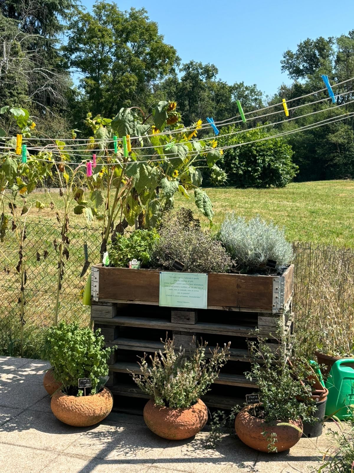 Emplacement de tente sur pelouse dans un jardin clos