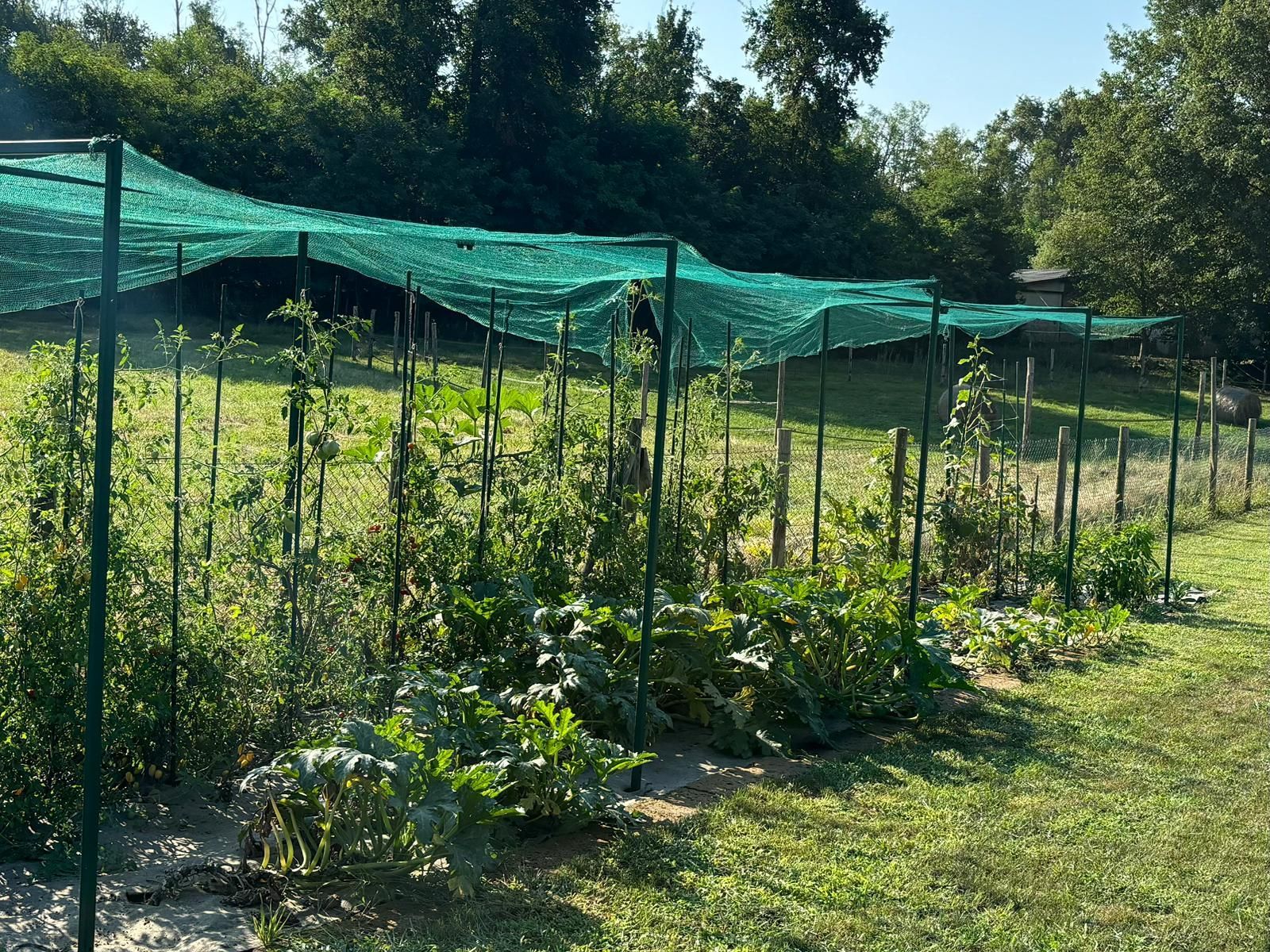 Emplacement de tente sur pelouse dans un jardin clos