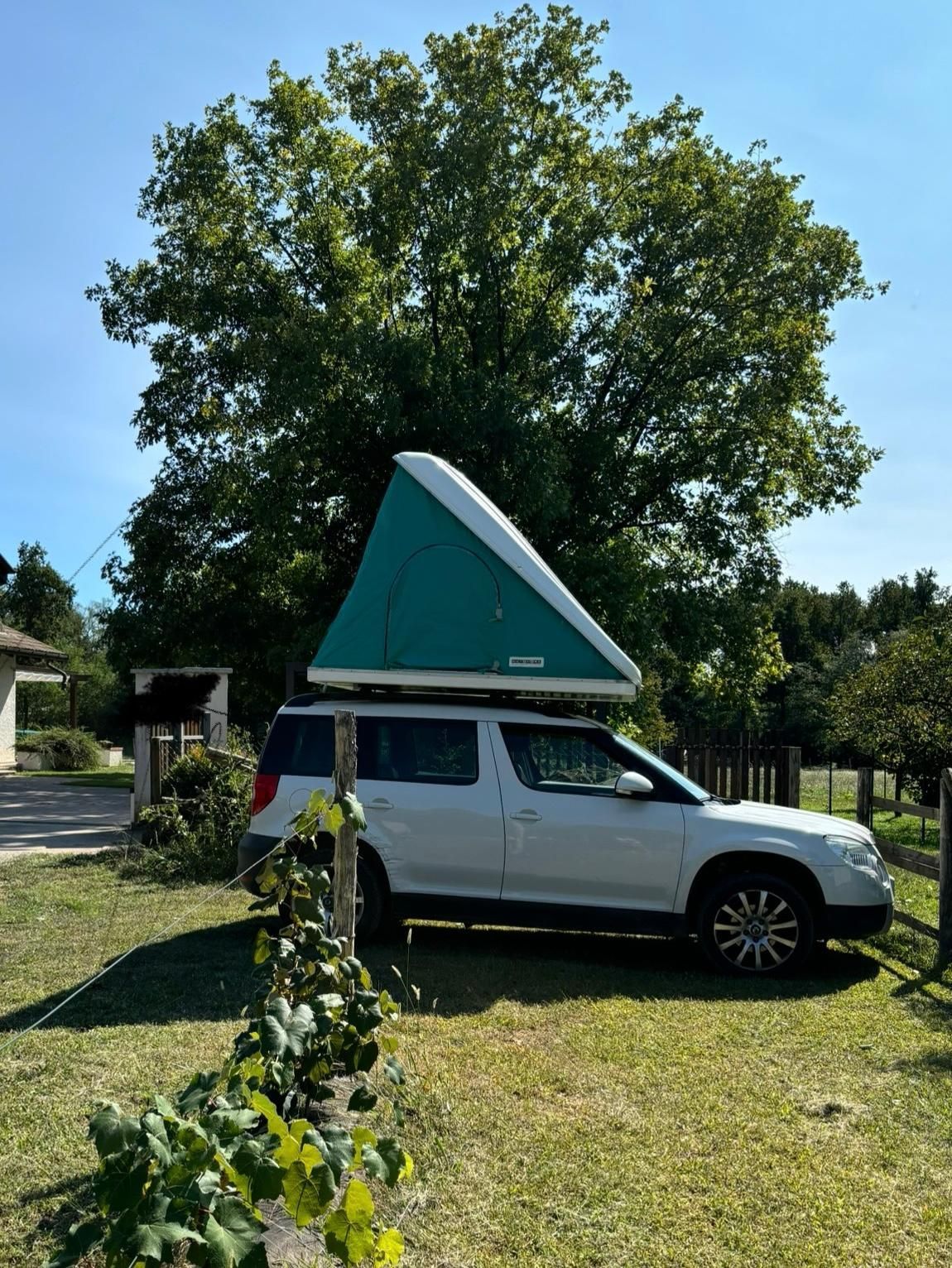 Emplacement de tente sur pelouse dans un jardin clos