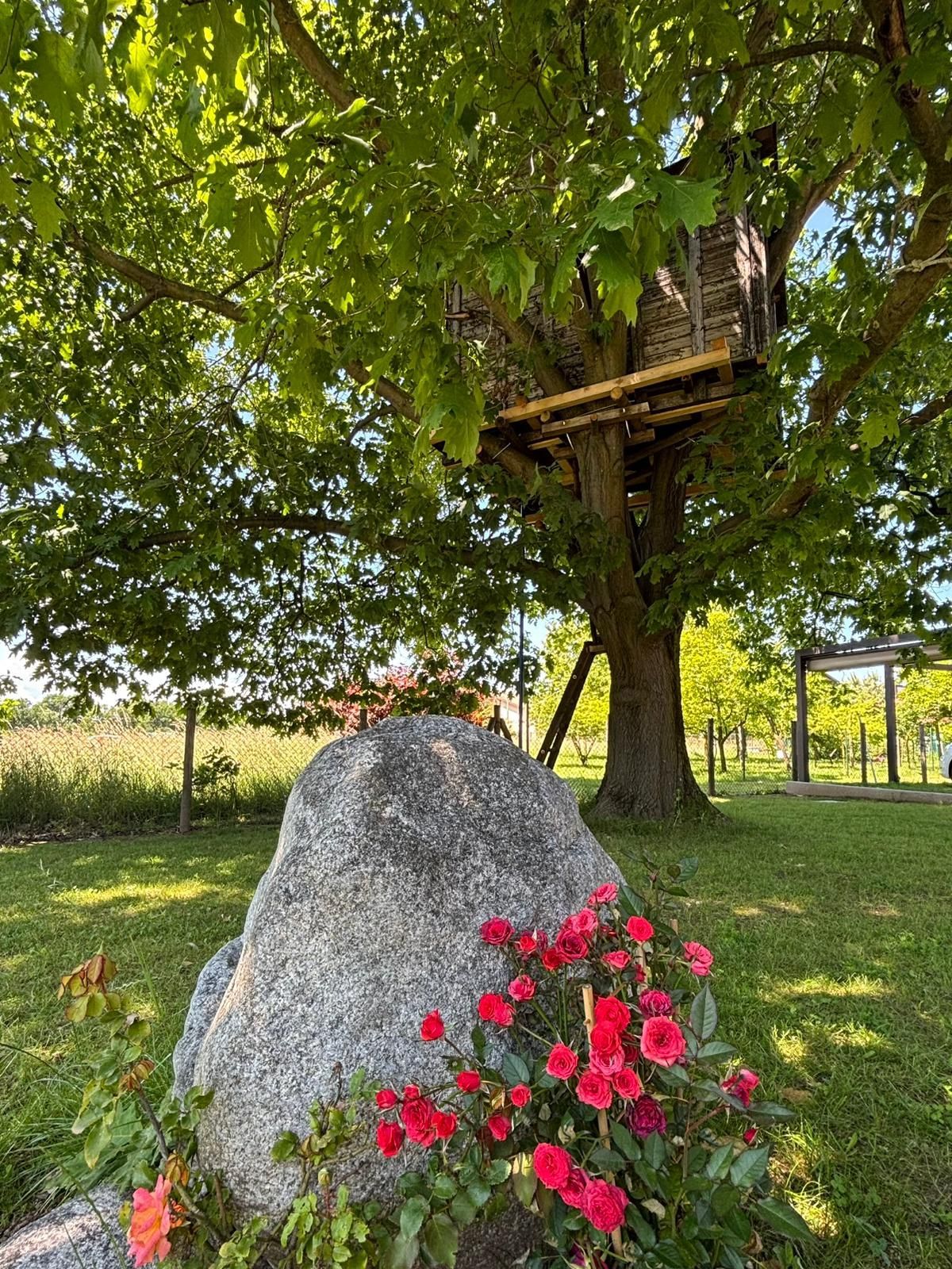Emplacement de tente sur pelouse dans un jardin clos