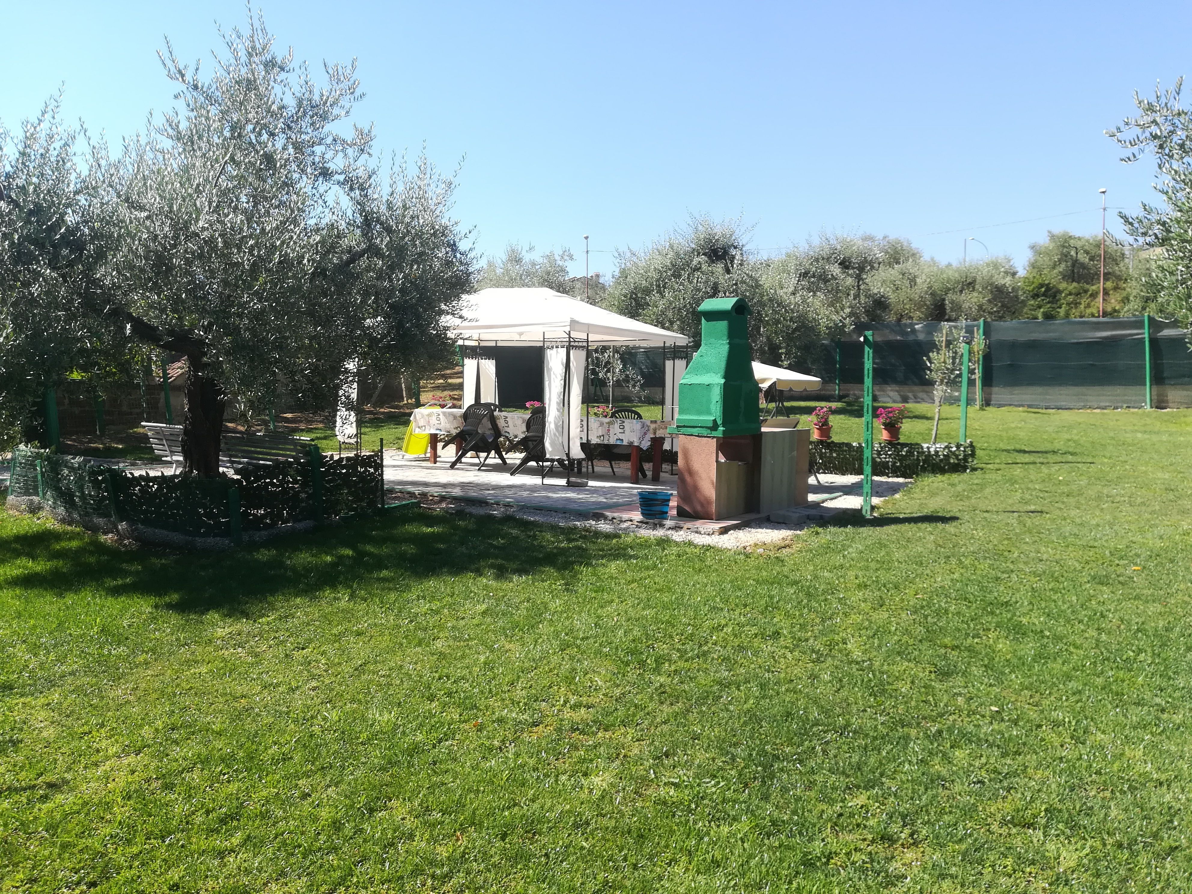 Chicken & olive Farm
