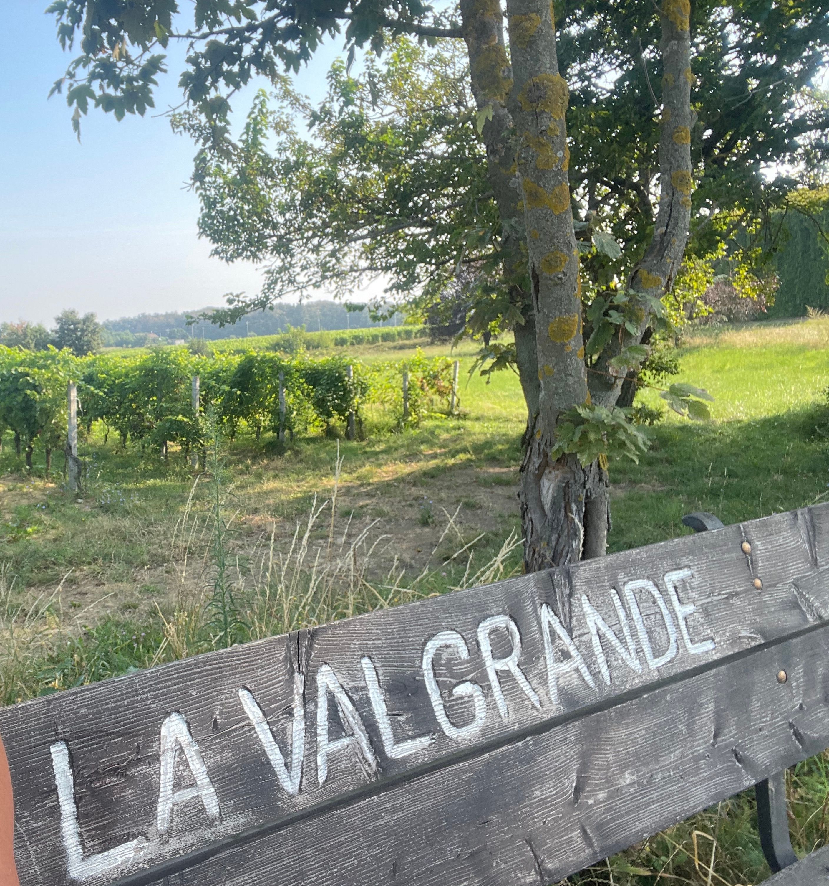 Il Monferrato sotto le stelle