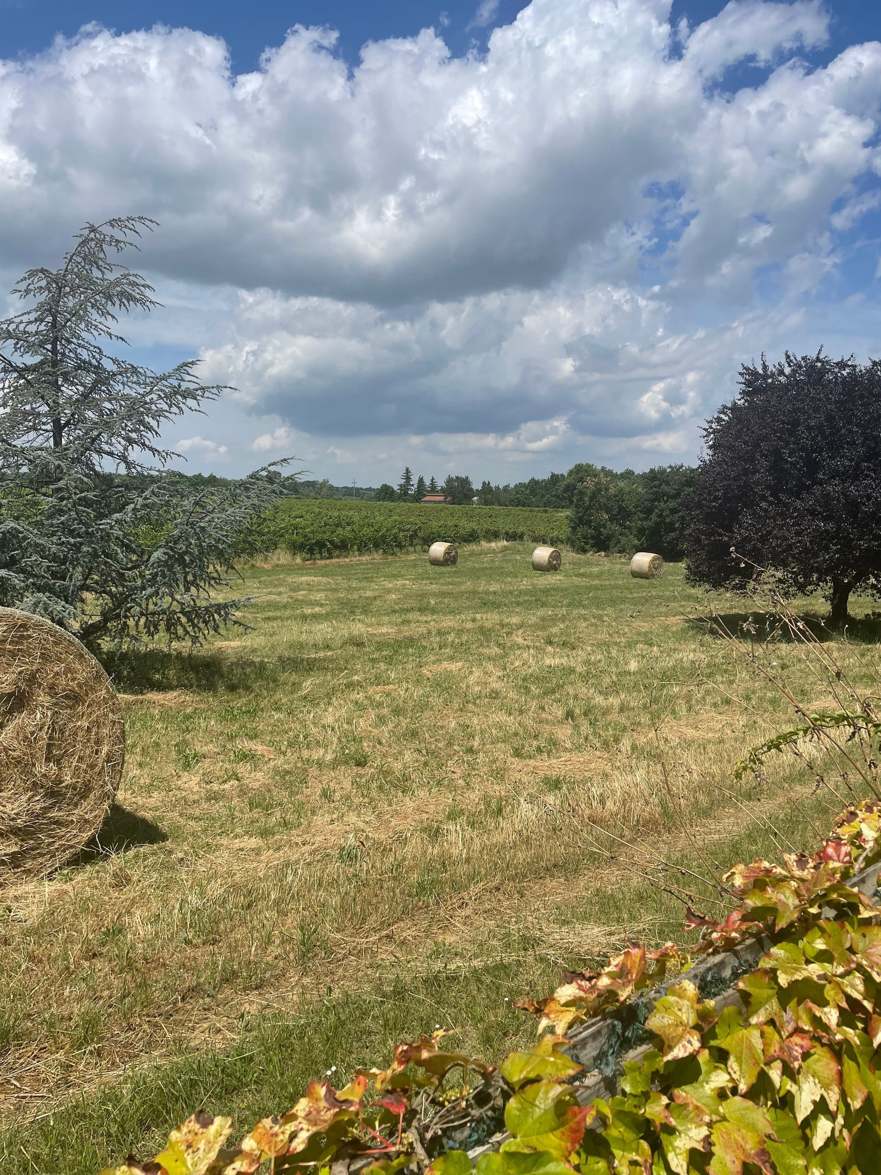 Il Monferrato sotto le stelle