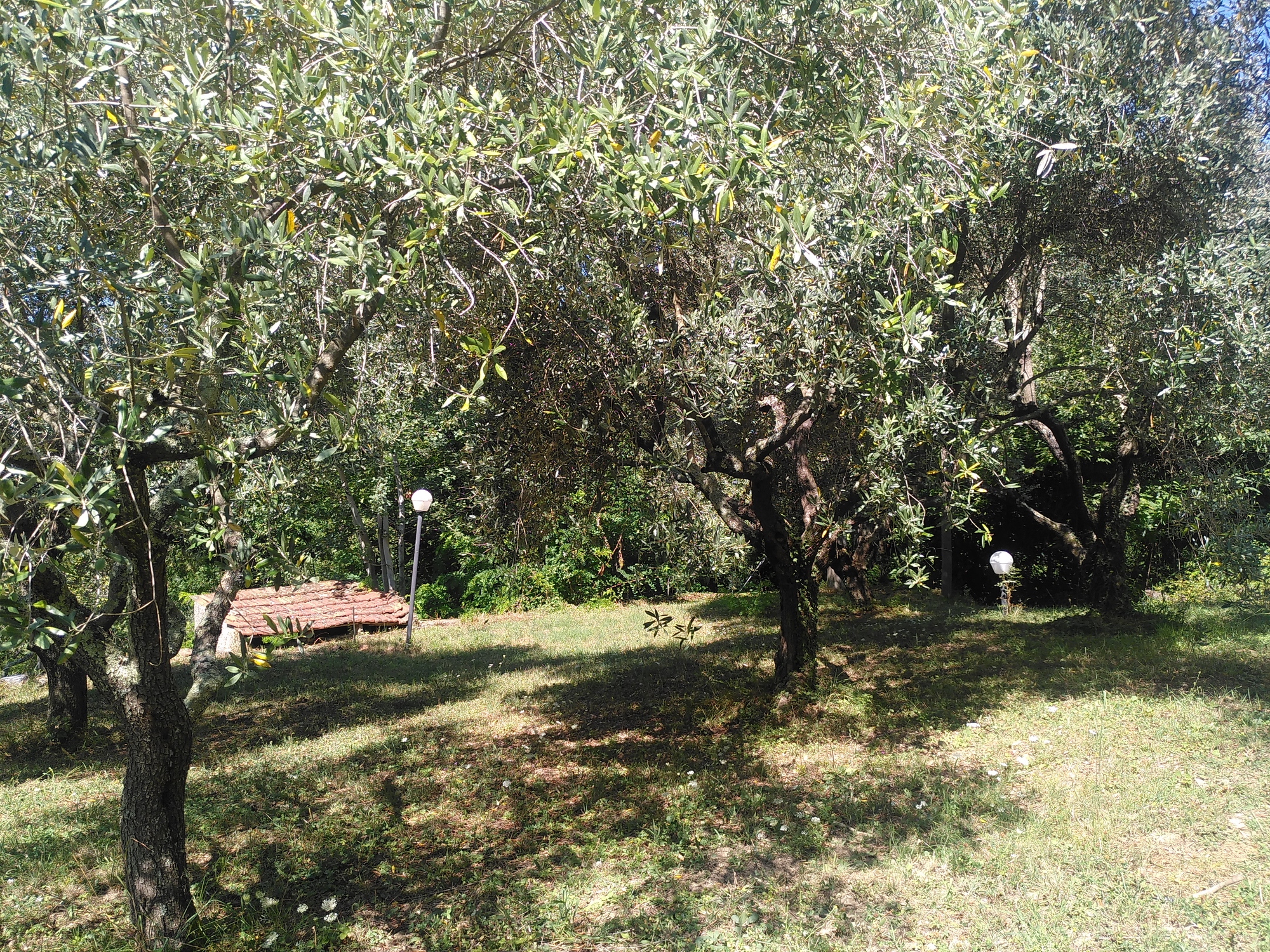 Agricamping en las colinas de Lunigiana con vistas a los Alpes Apuanos