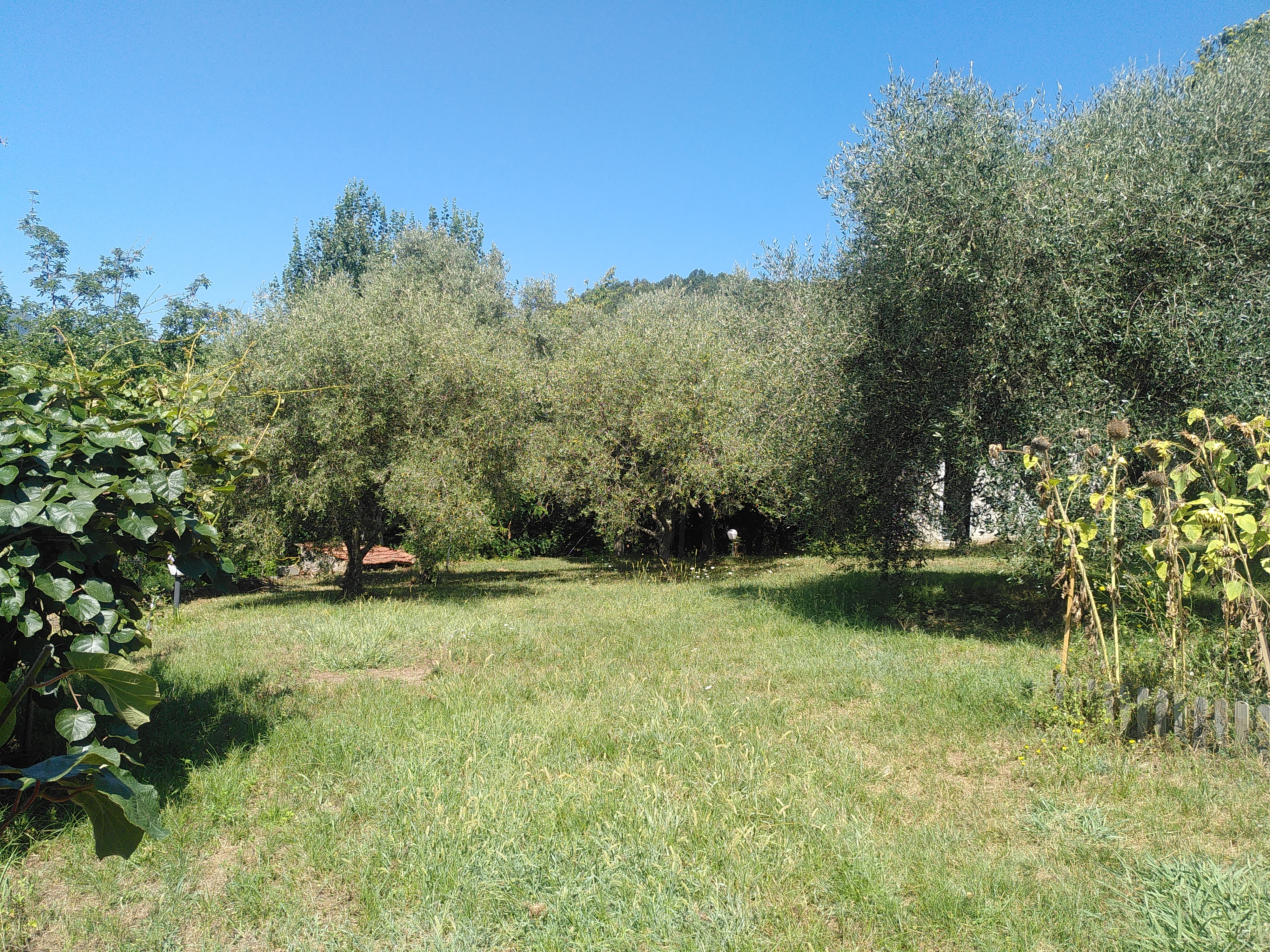 Agricamping en las colinas de Lunigiana con vistas a los Alpes Apuanos