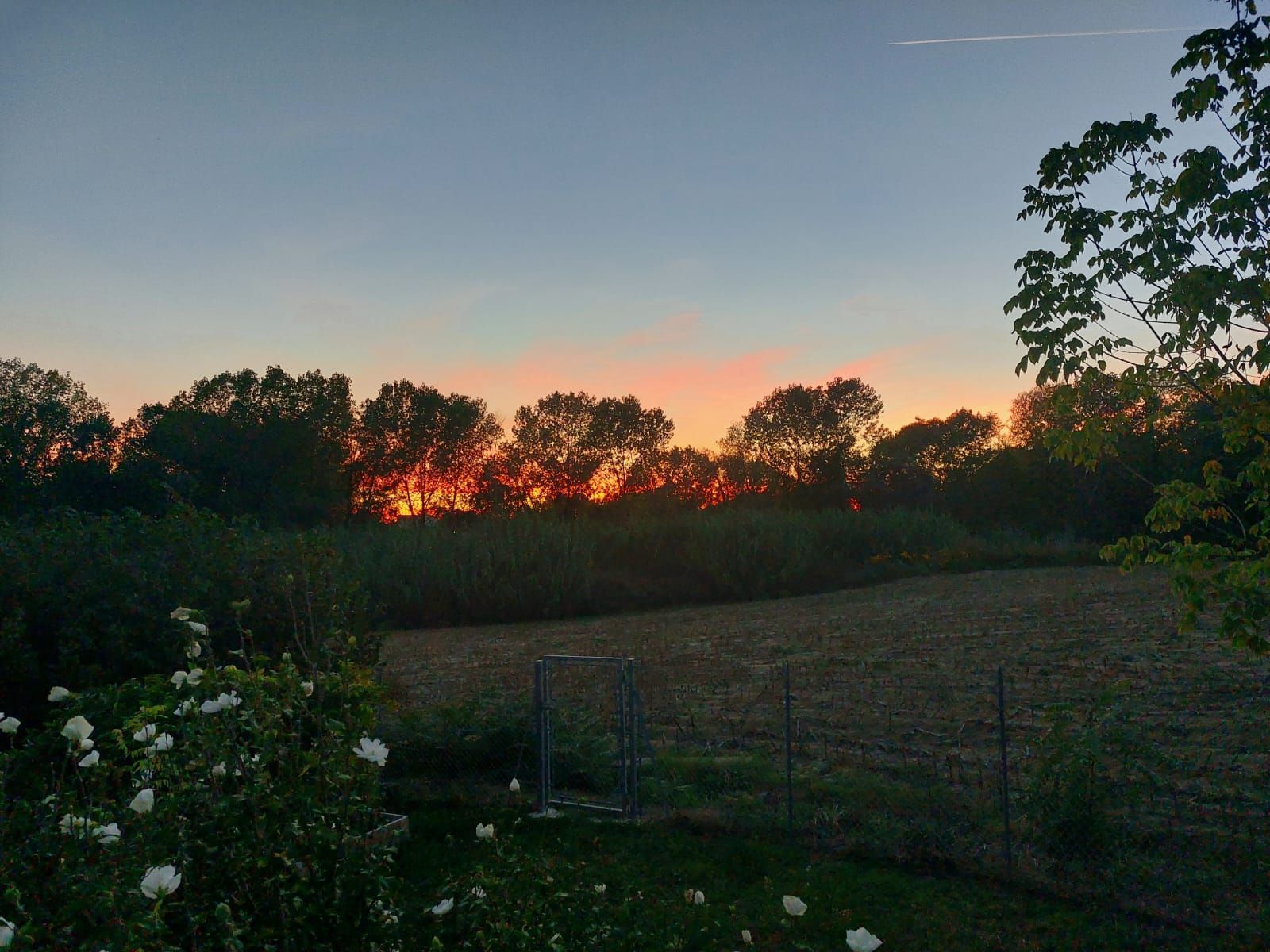 Fluss. Zwischen Meer und Hügel