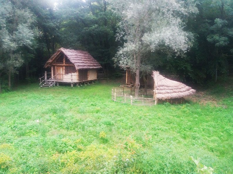 Campo base nel bosco del Parco dei Cinque Laghi