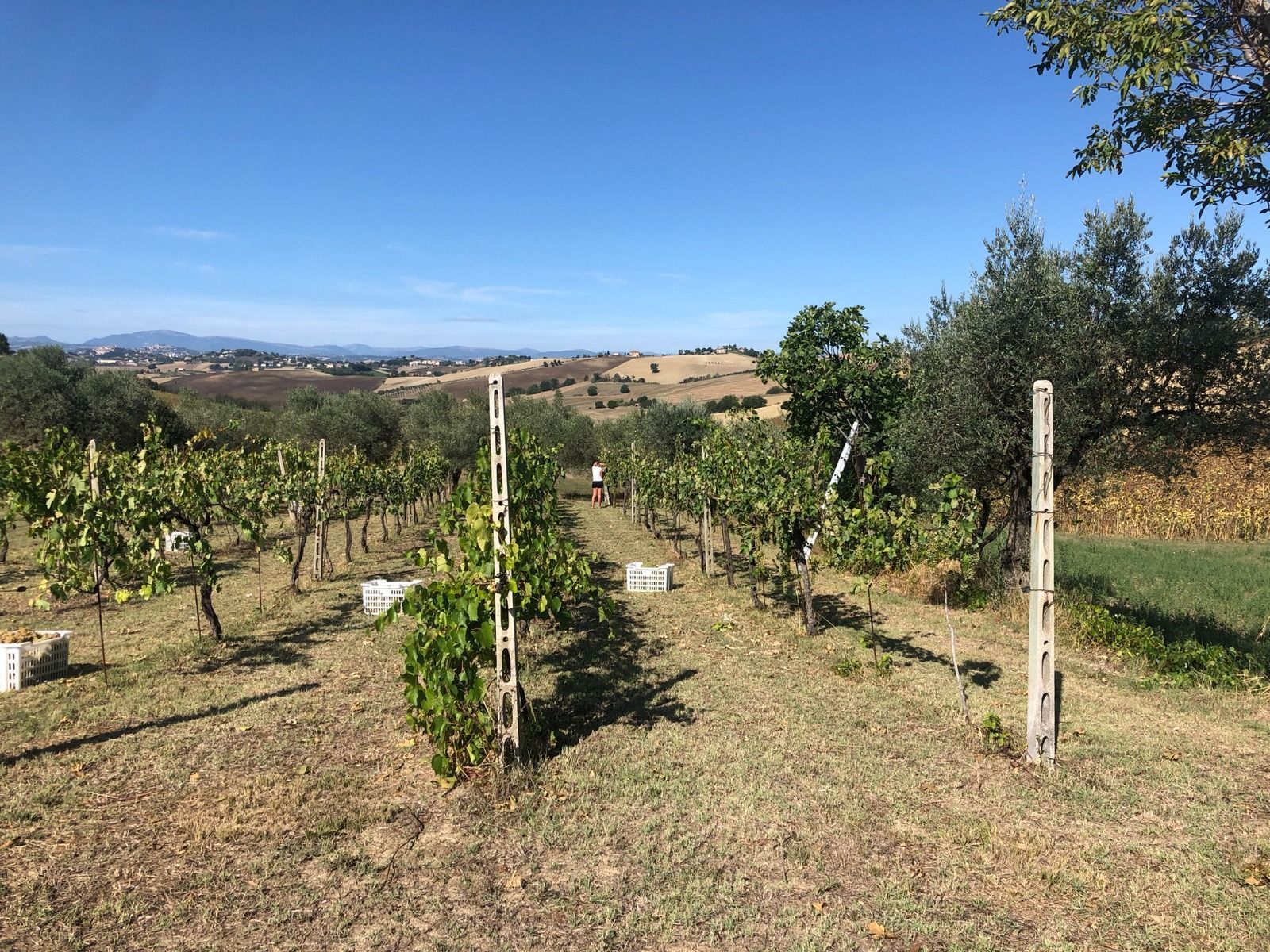 Area sosta camper, roulottes, piazzola per tenda, Il Boschetto Natural Village – Parco Natura