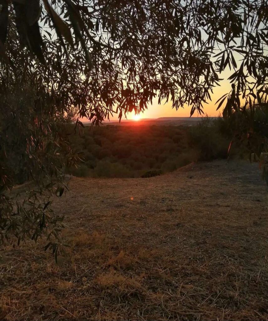 Tipì Sa Mola Glamping Experience