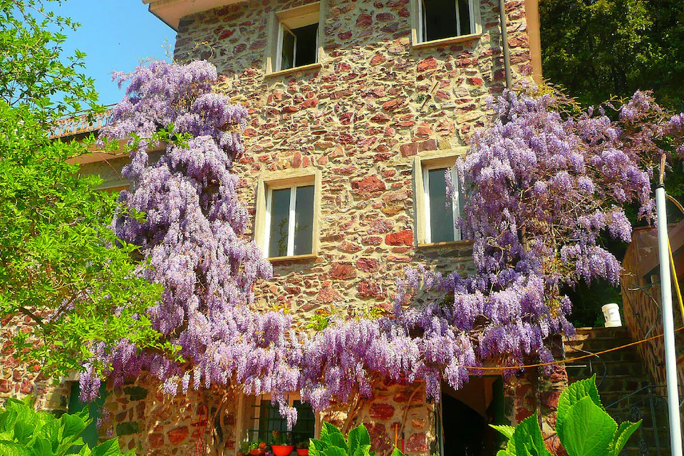 Le Sorgenti del Gromolo: bungalow nel bosco