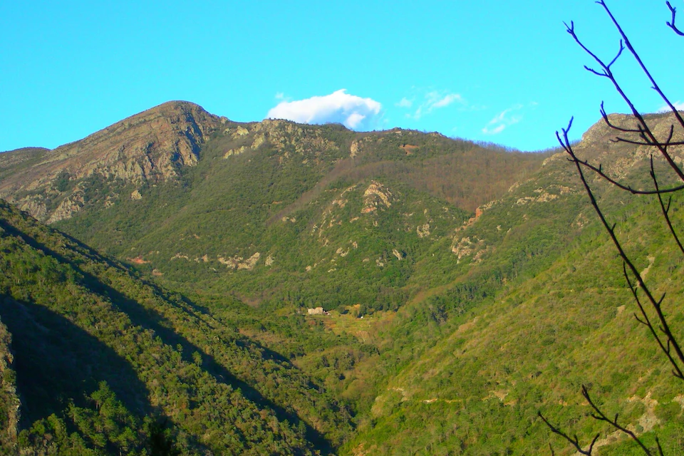 Le Sorgenti del Gromolo: bungalow nel bosco