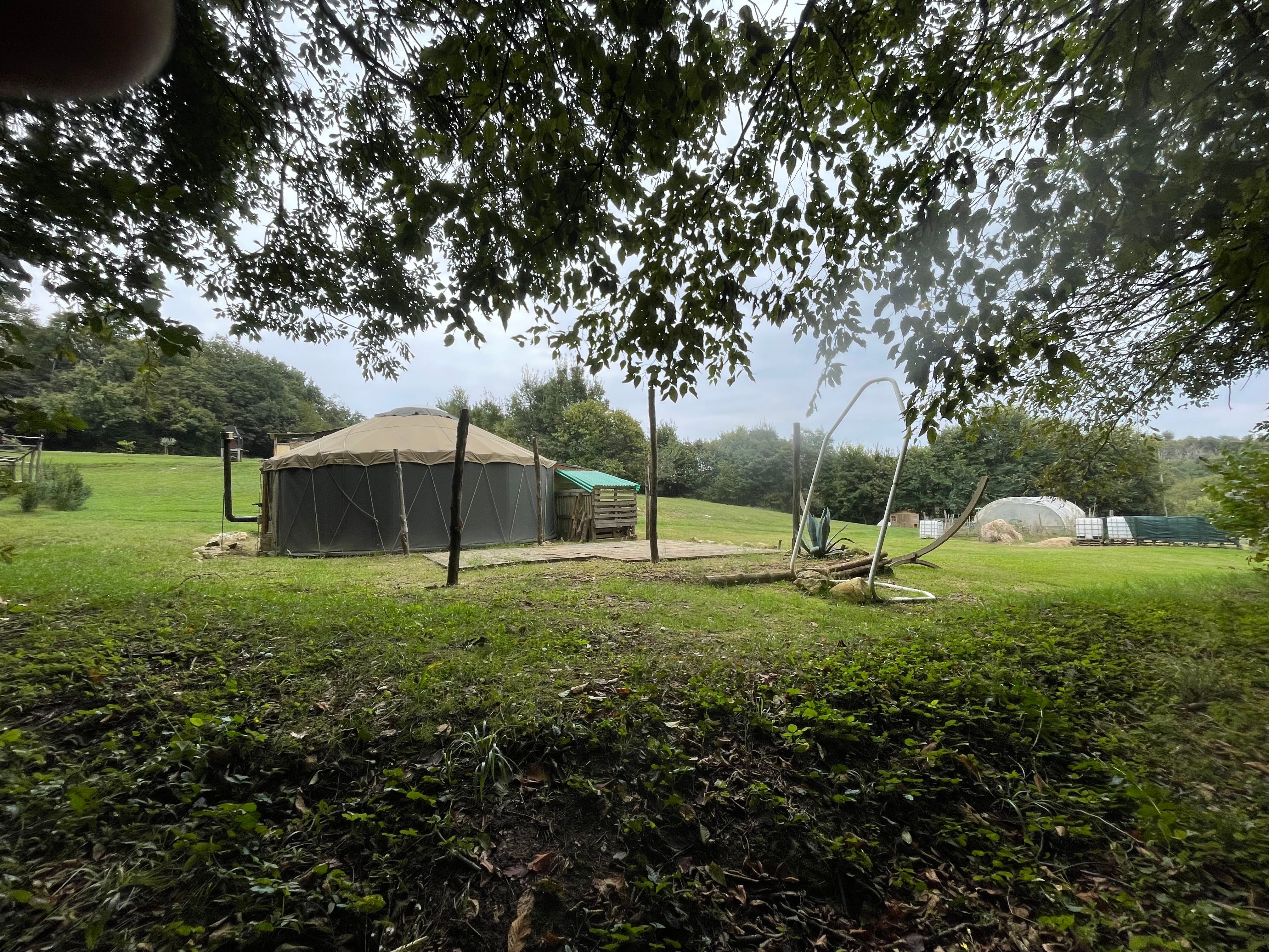 Yurta immersa nei boschi dei Colli Berici