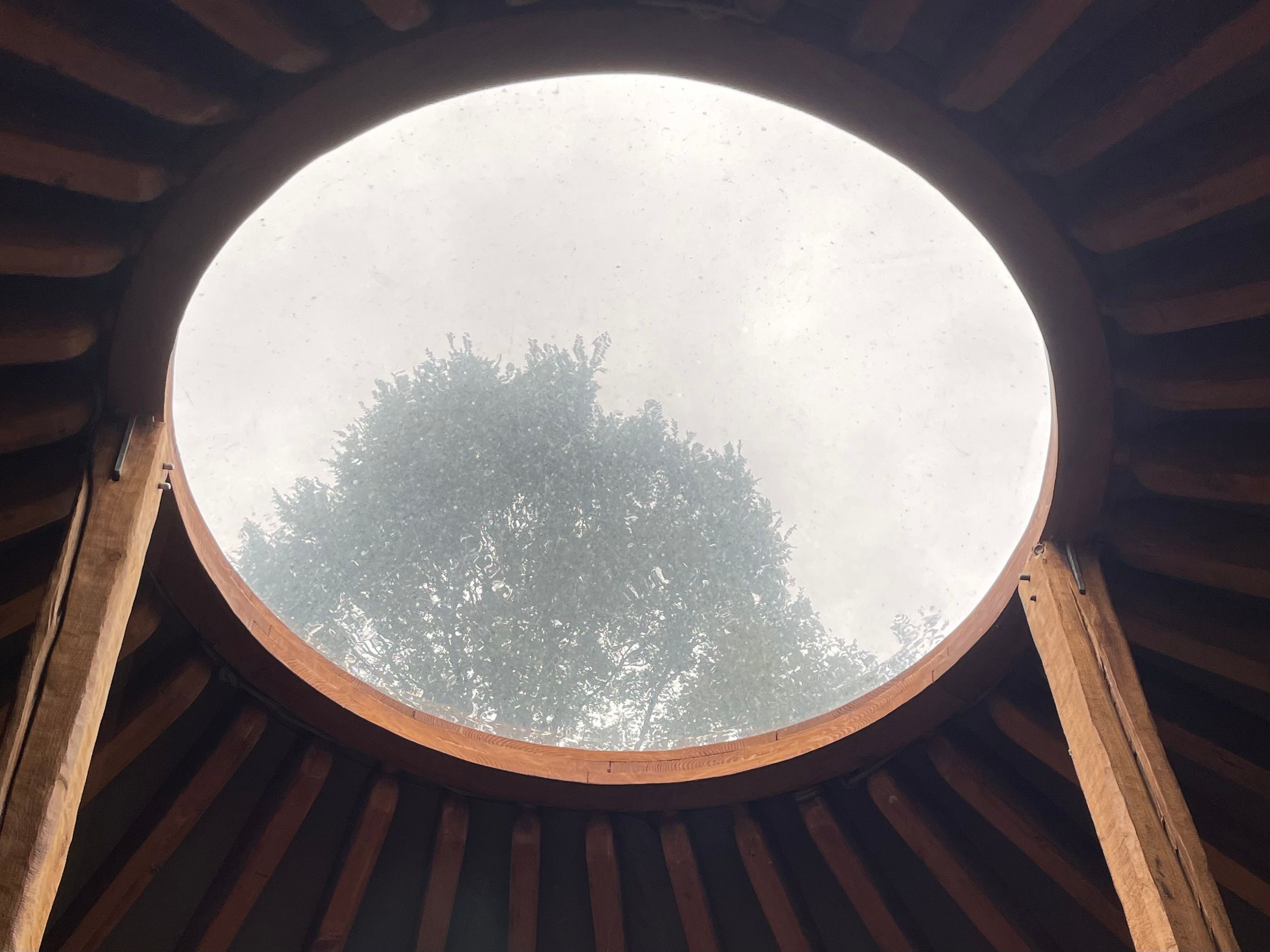 Yurta immersa nei boschi dei Colli Berici