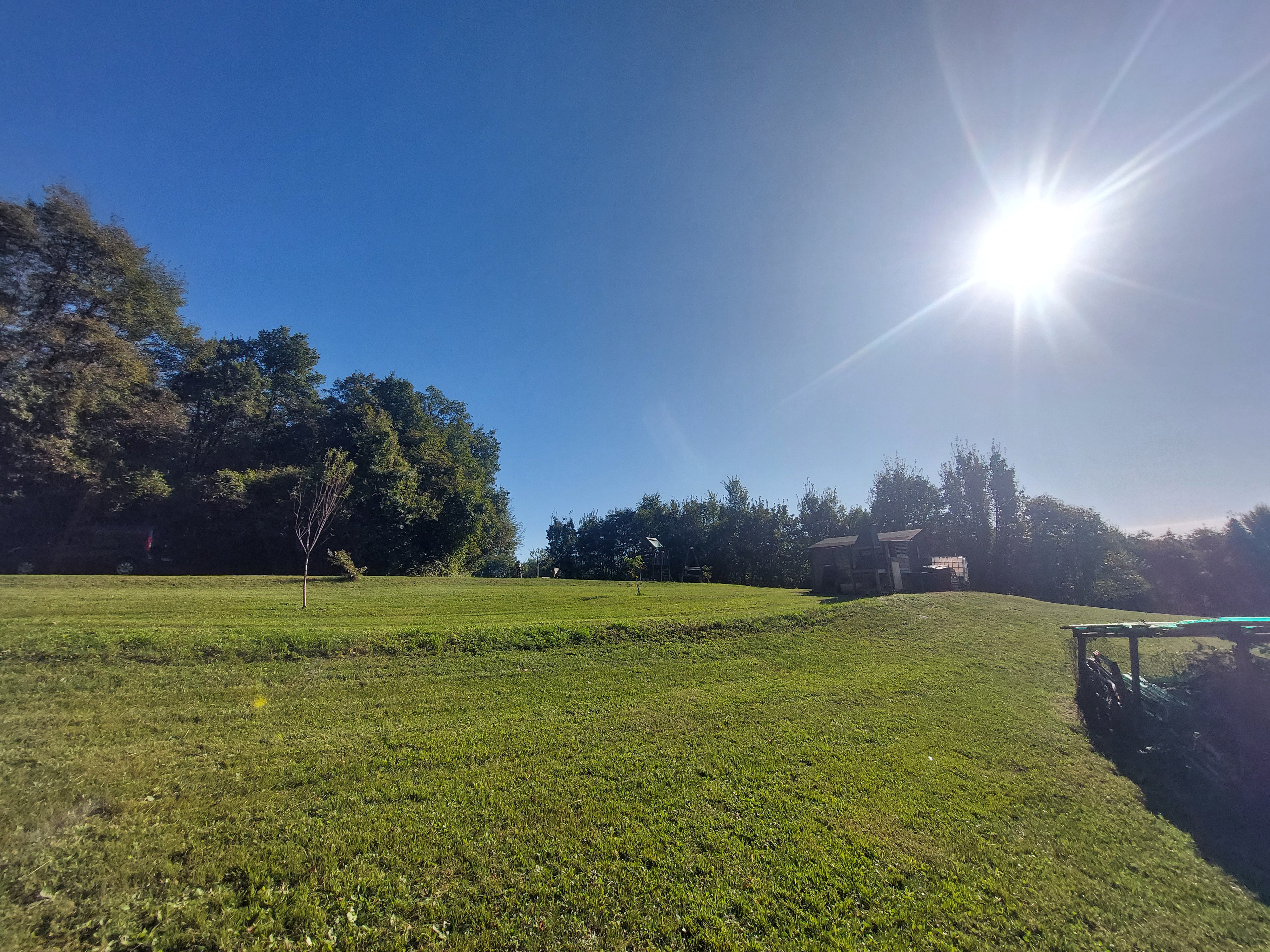 Yurta immersa nei boschi dei Colli Berici