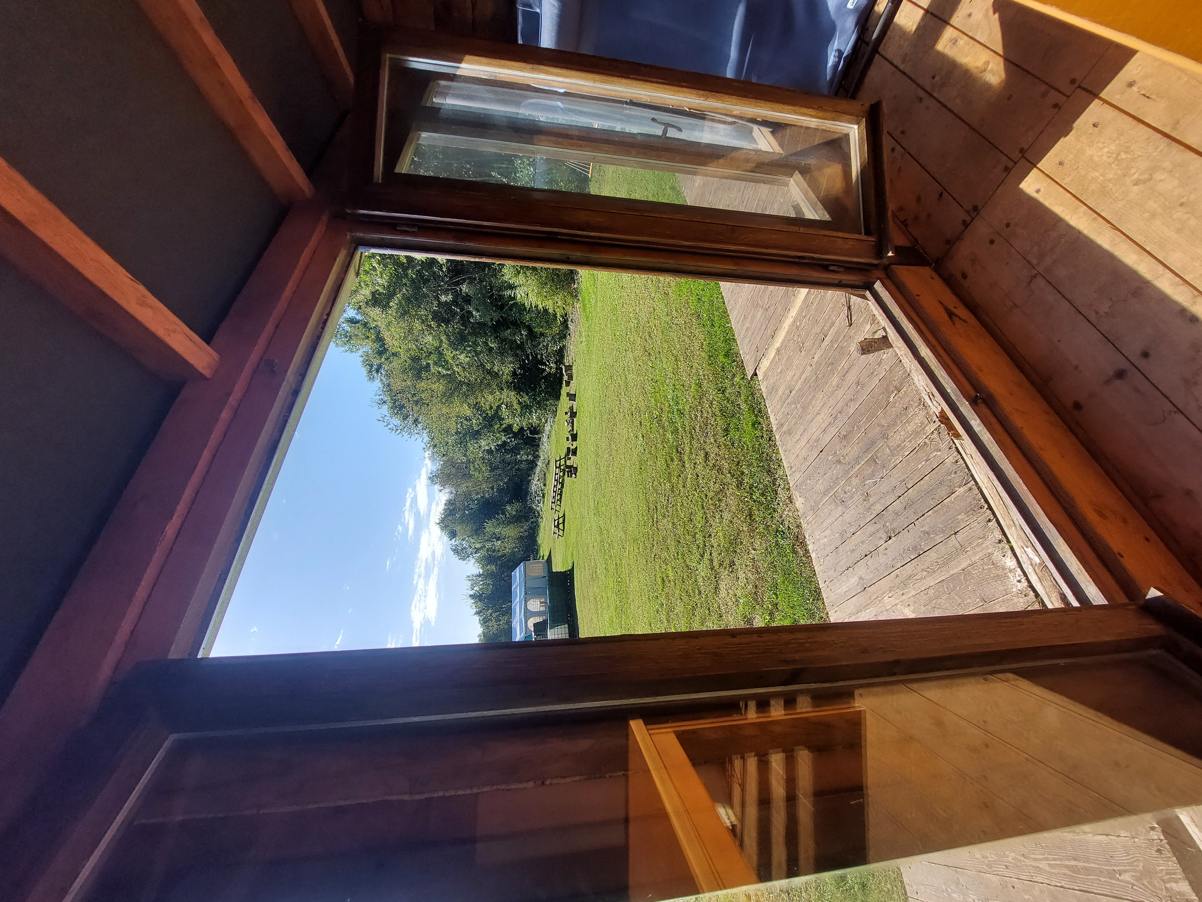 Yurta immersa nei boschi dei Colli Berici