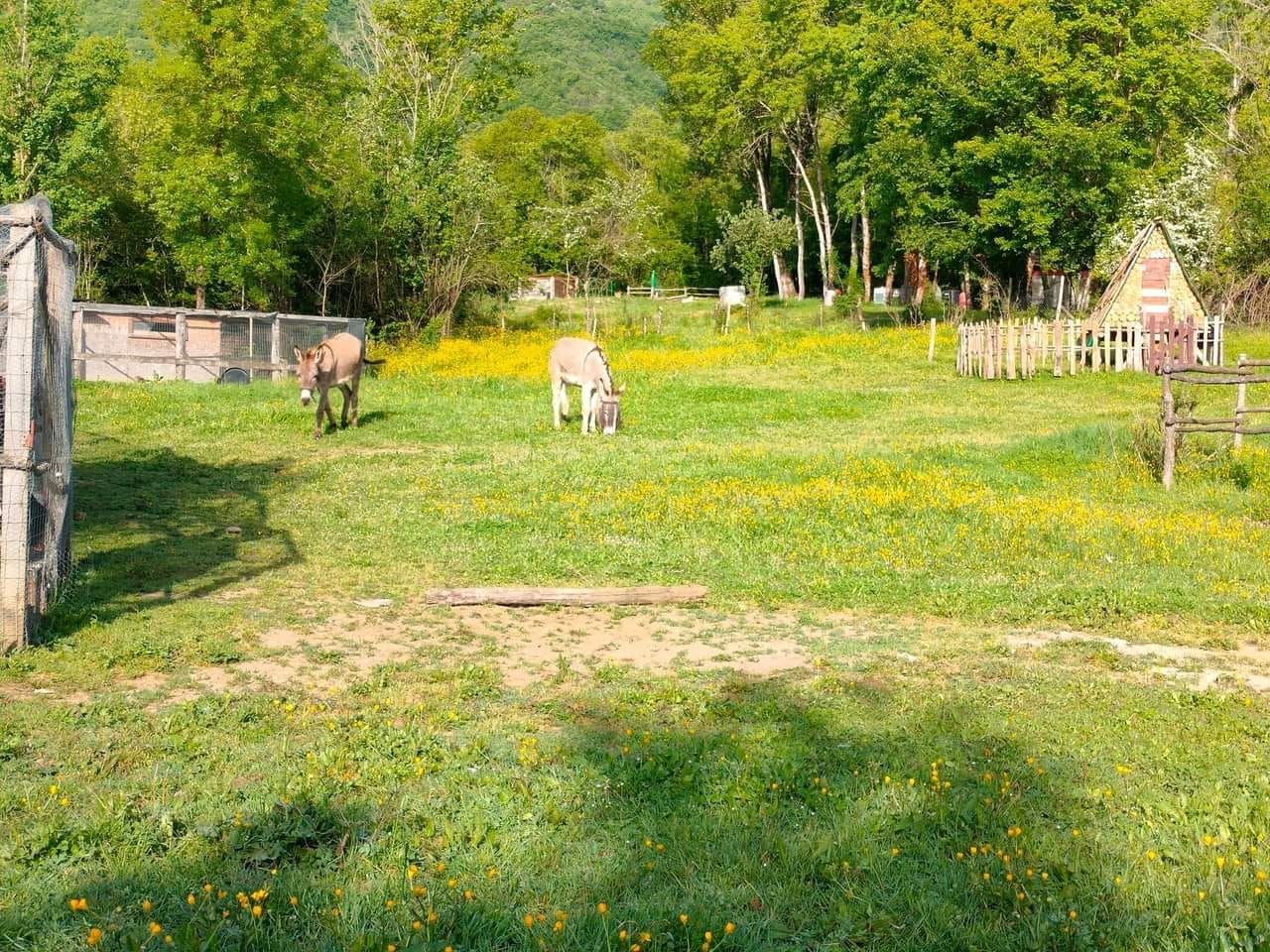 Spazio tenda presso Campagna alla Riscossa