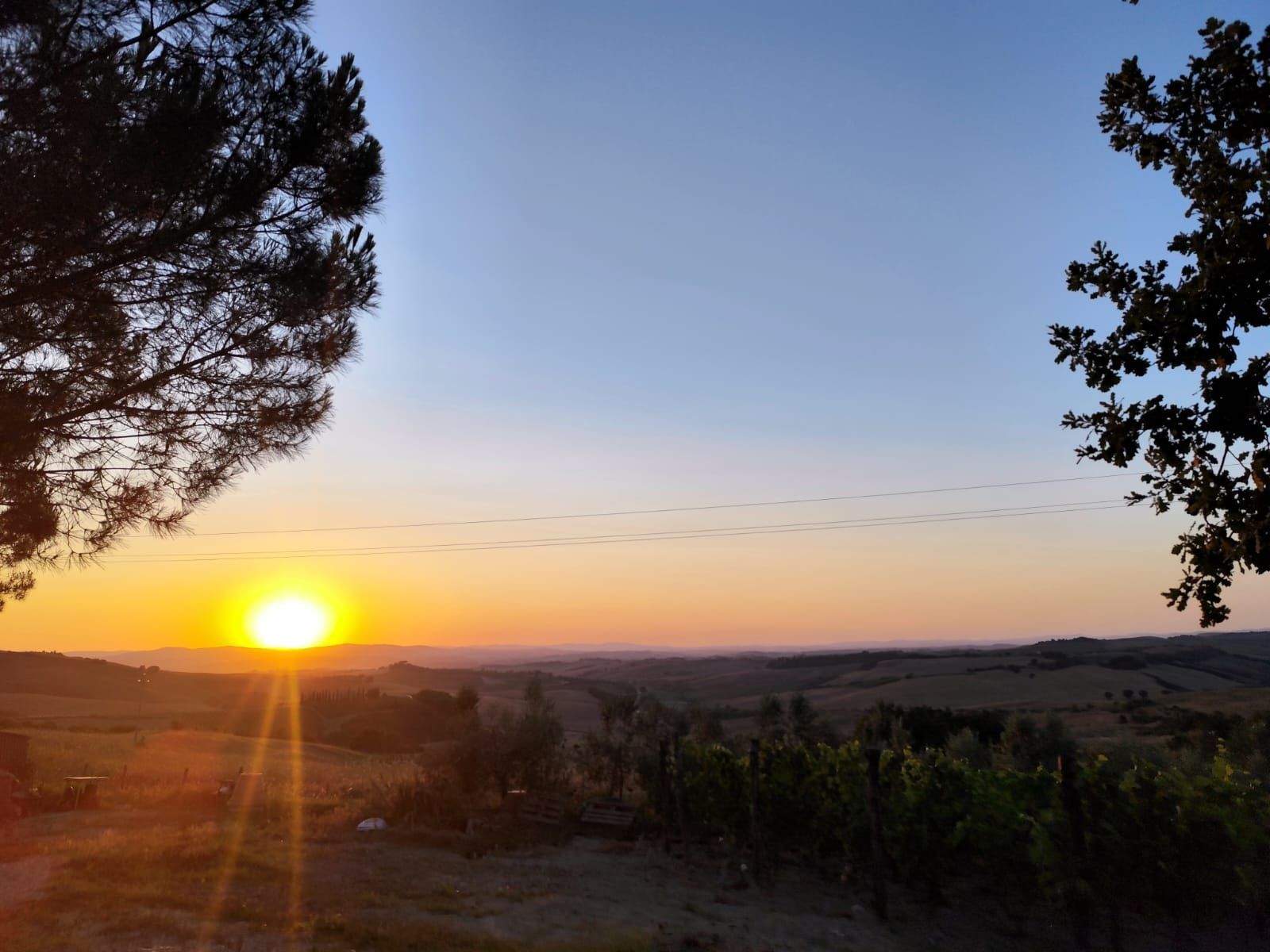 Spazio tenda presso Oasi di Vite sulla Via Francigena