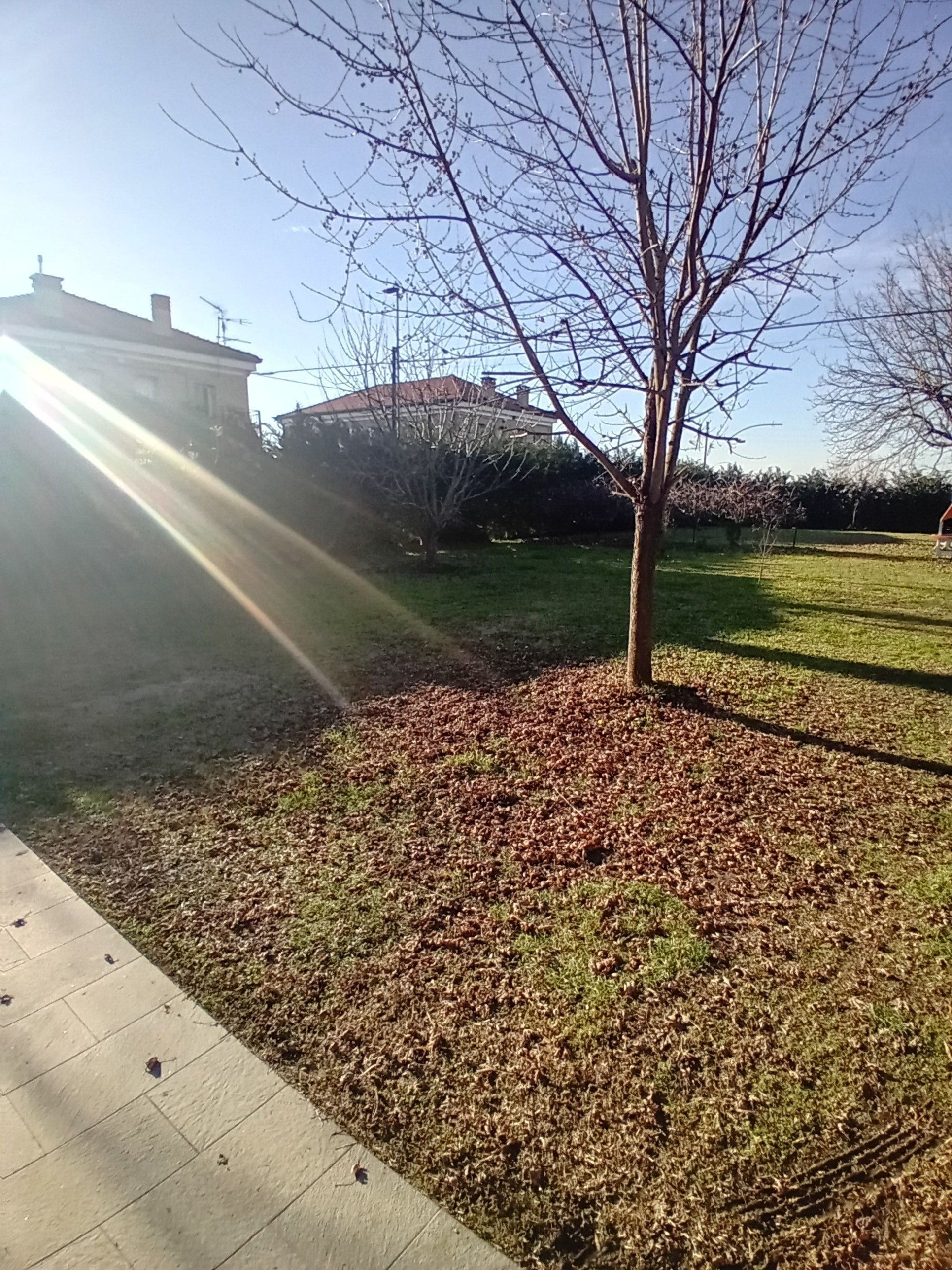 Prato recintato per sosta escursioni vicino Rovigo